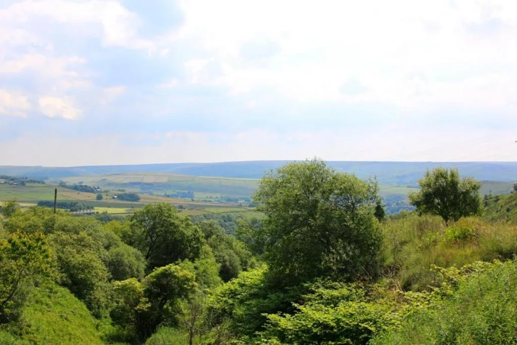 Garden view in Grains Bar Hotel
