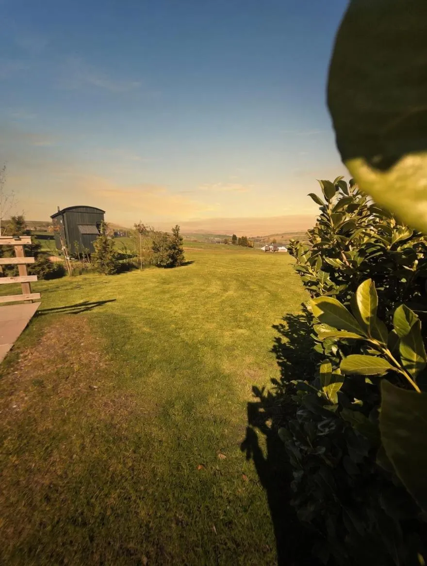 Garden in Grains Bar Hotel