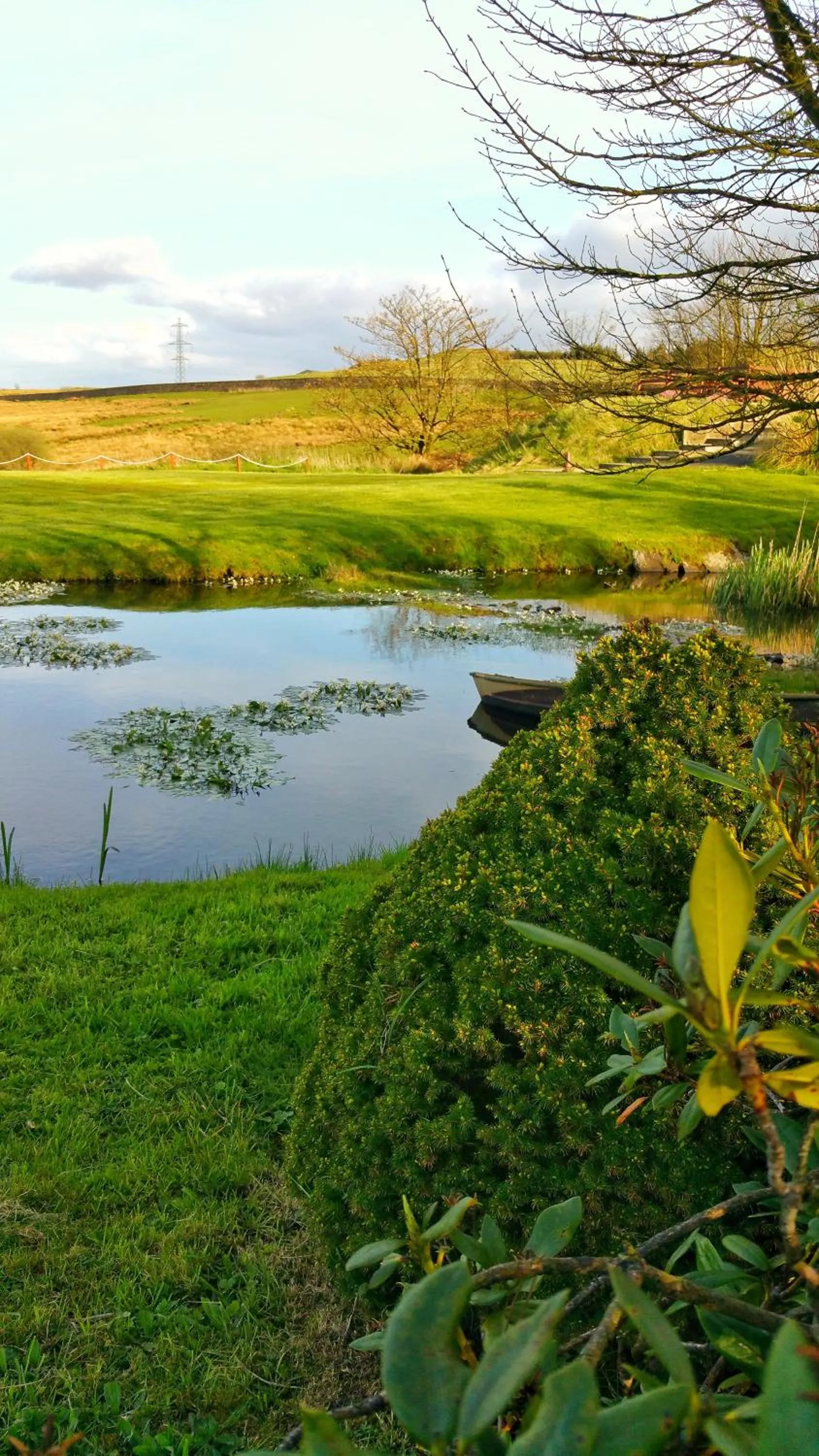Natural landscape in Grains Bar Hotel
