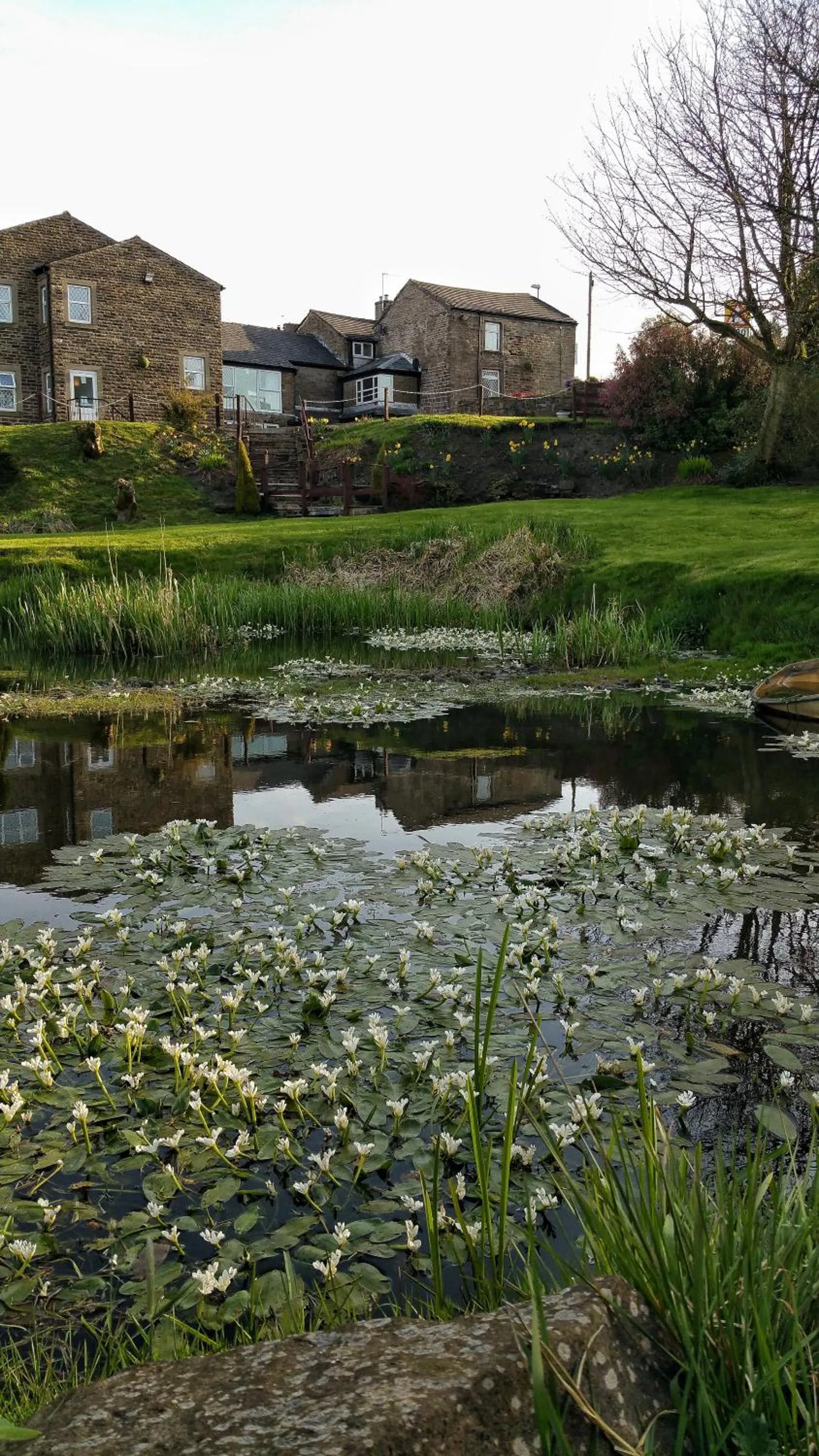 Garden view in Grains Bar Hotel