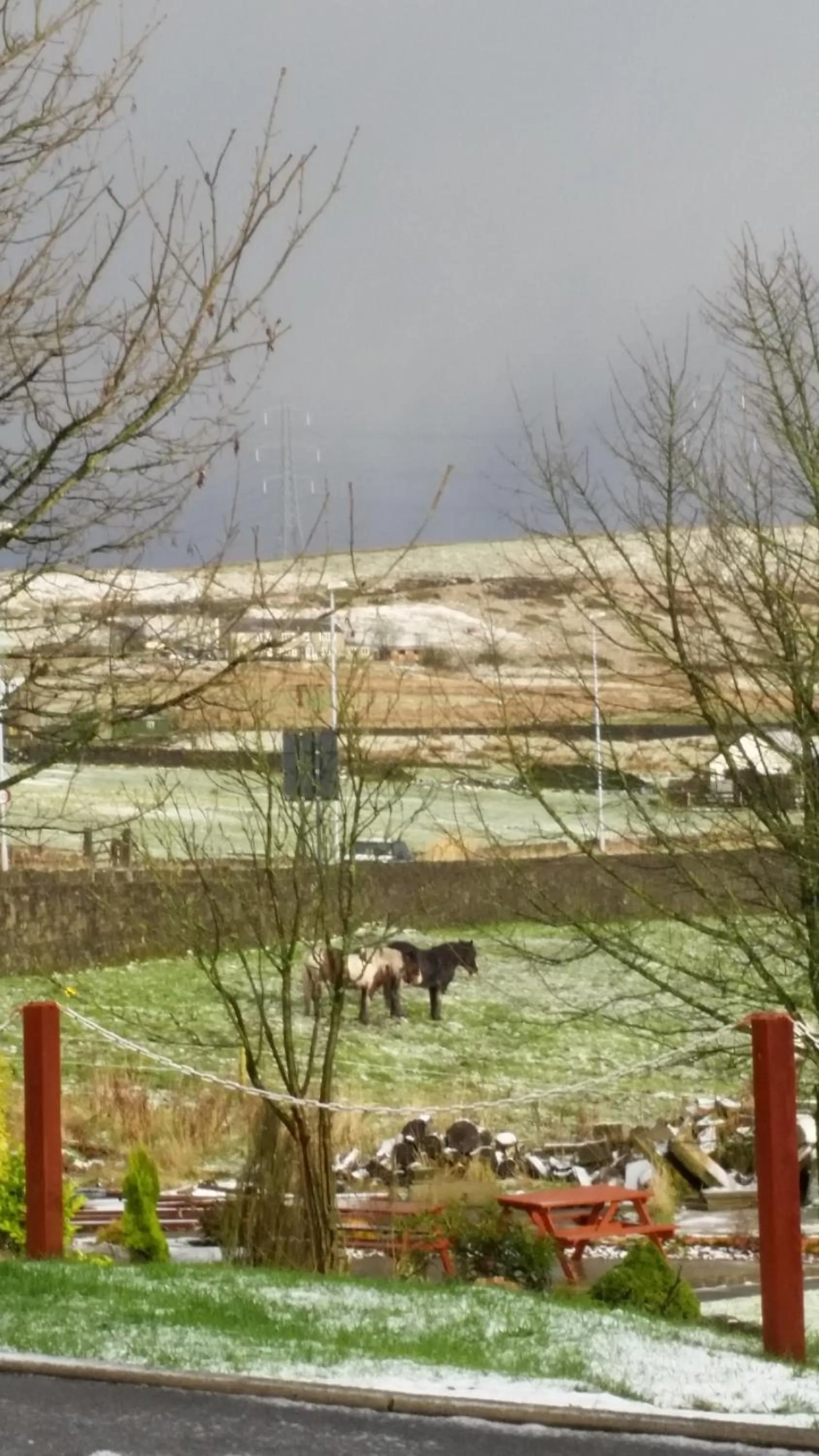 Natural landscape in Grains Bar Hotel