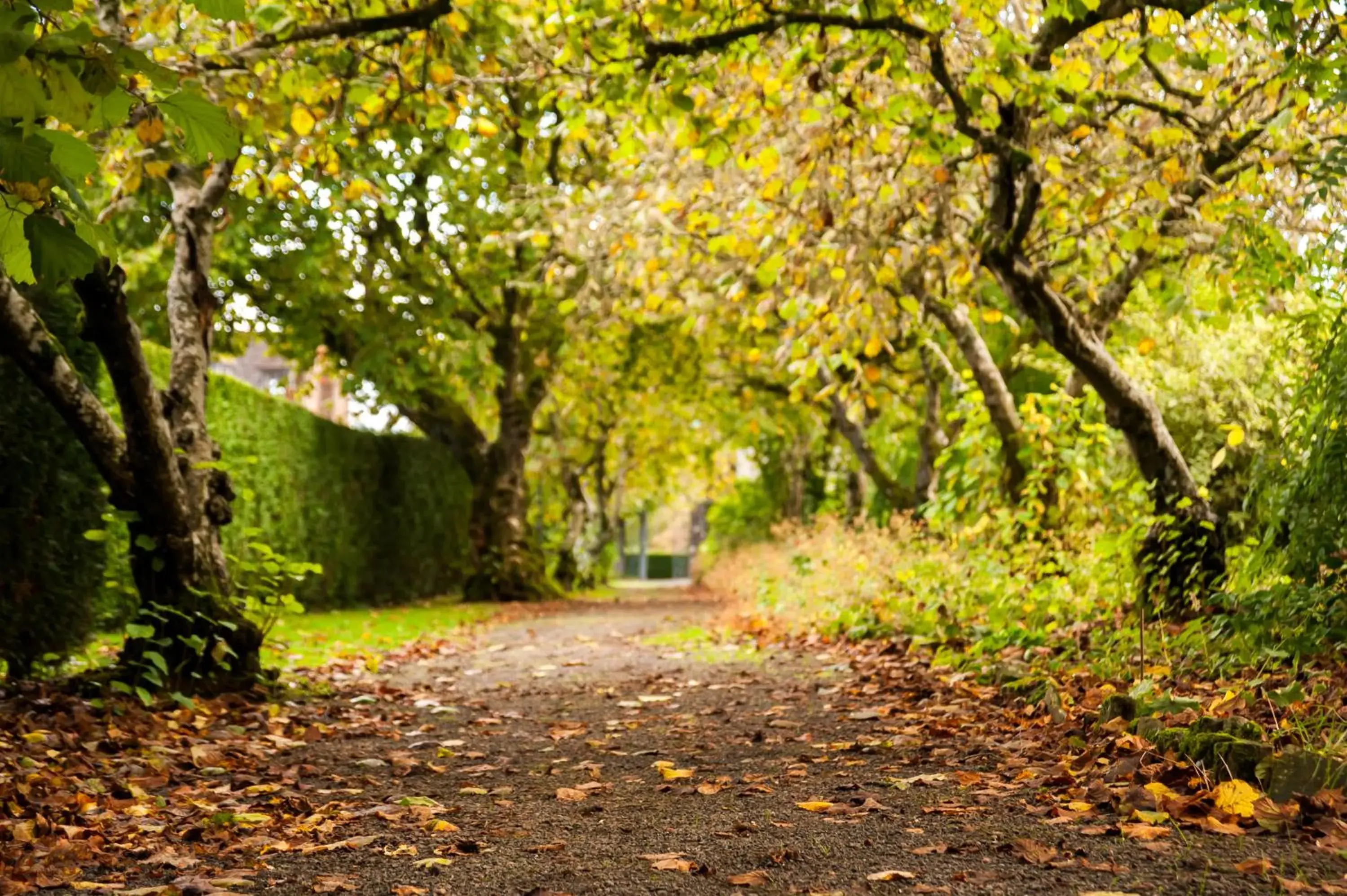 Facade/entrance in Llangoed Hall Facade/entrance in Llangoed Hall