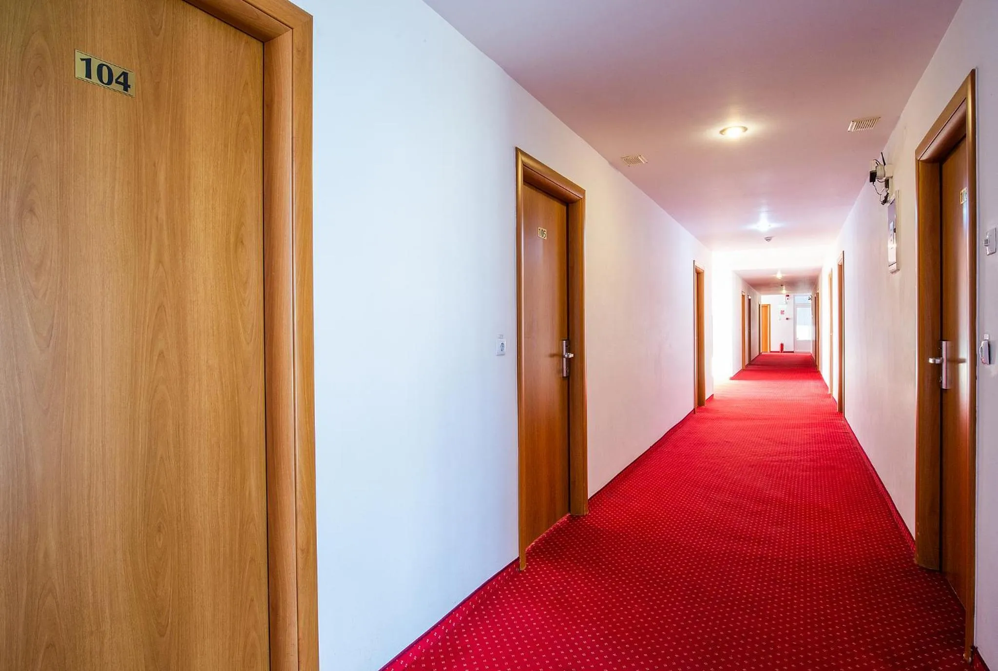 Hotel Dana