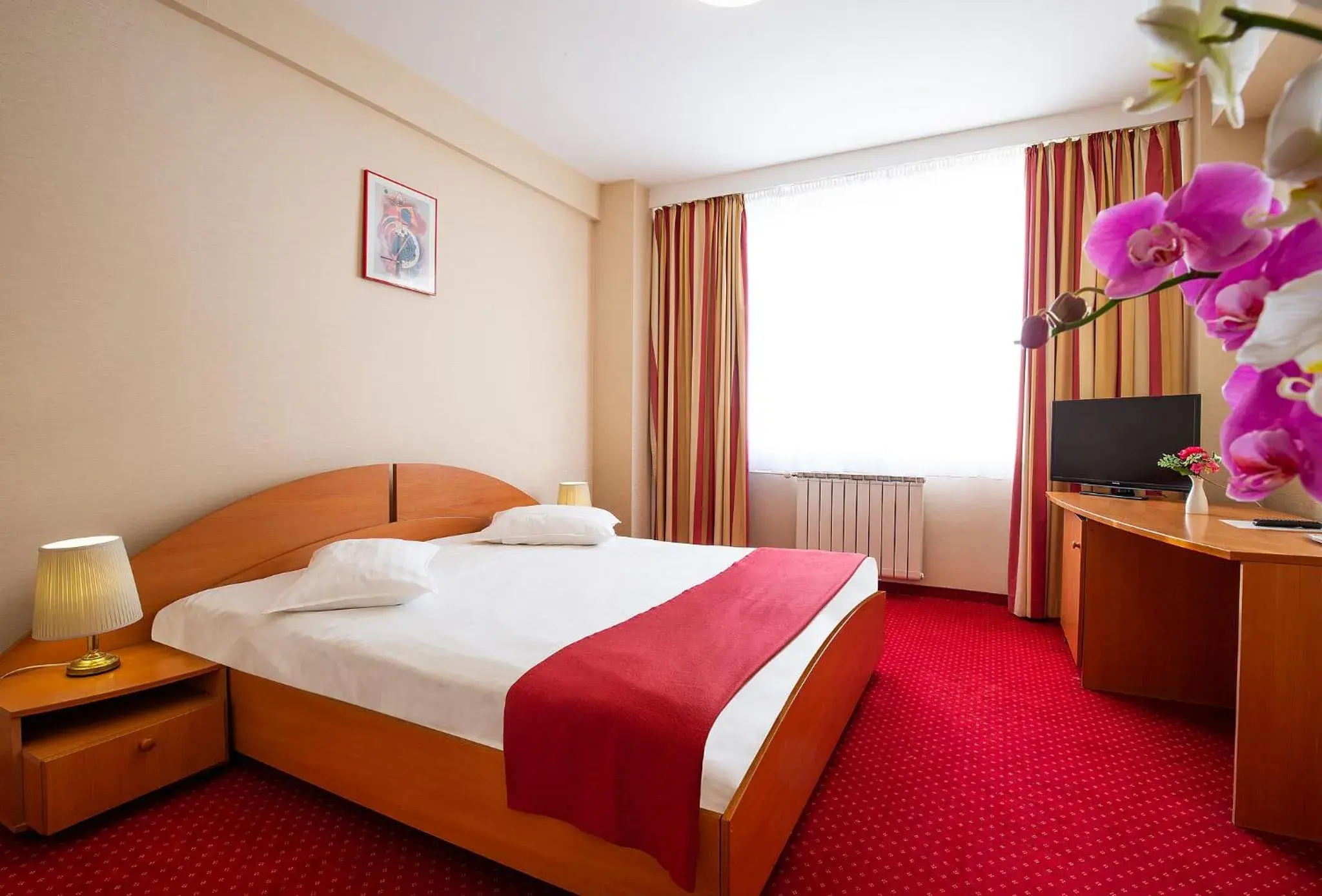 Hotel Dana Hotel Dana