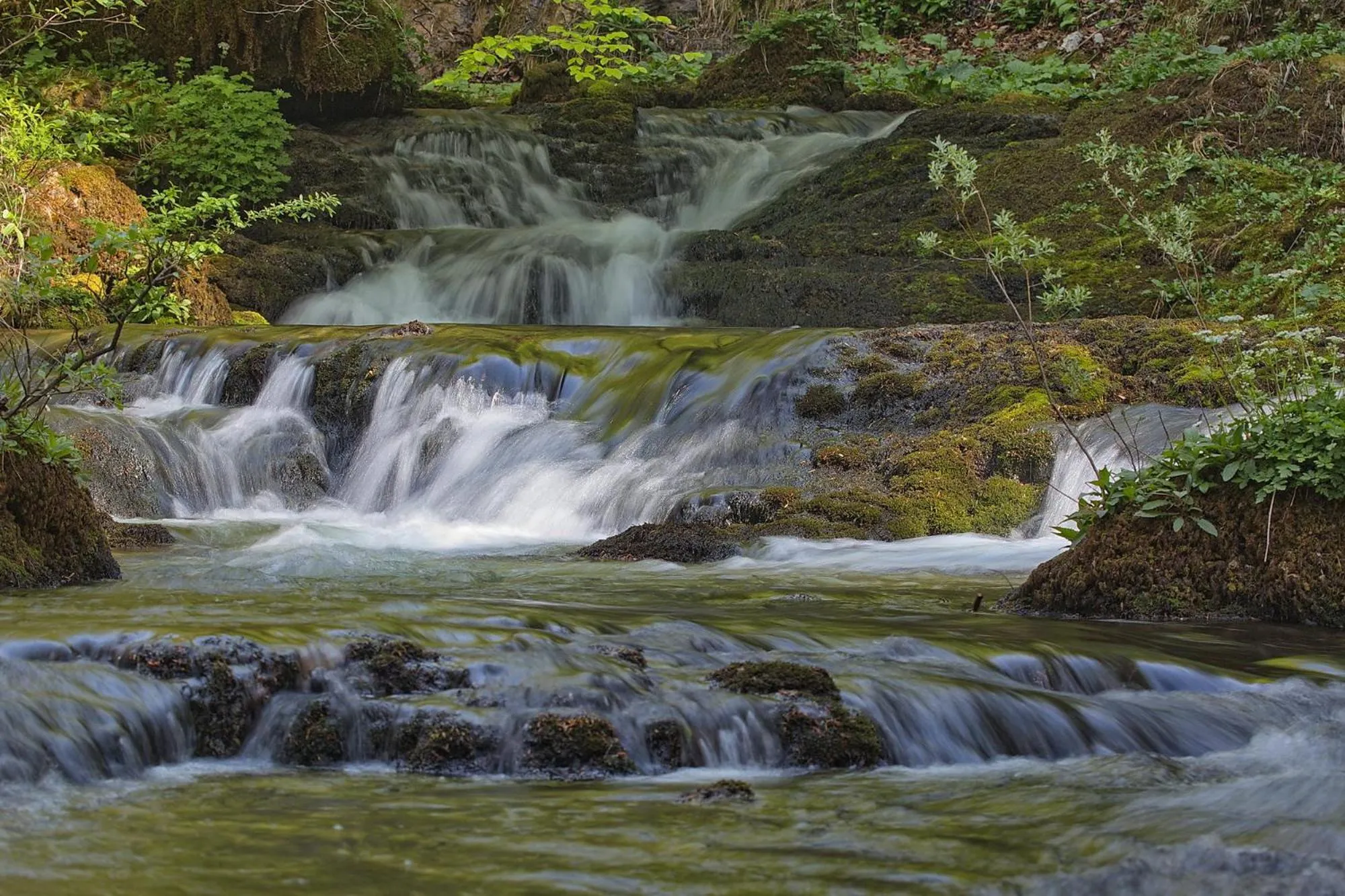 Natural landscape in Hotel Kovac