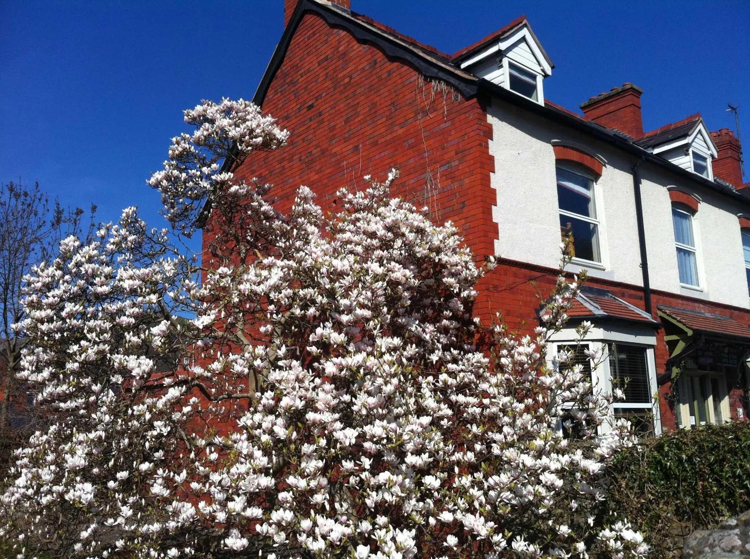 Facade/entrance in Llangollen Hostel Self-catering - Only Private Guest Bedrooms