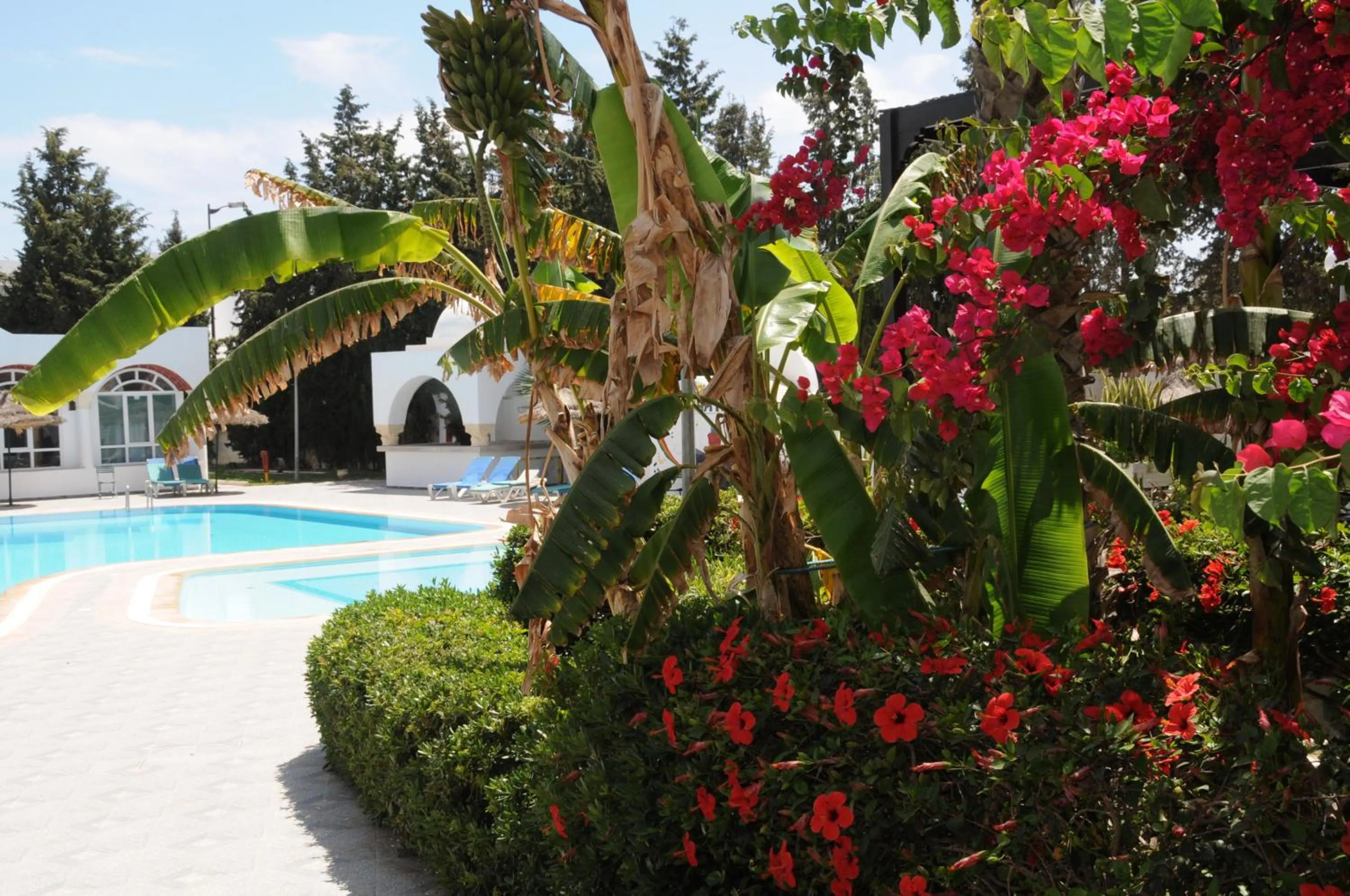 Garden in Hotel Menara