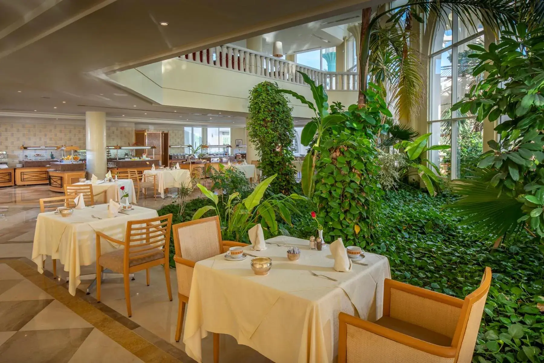 Restaurant/places to eat in Hasdrubal Prestige Thalassa & Spa Djerba Restaurant/places to eat in Hasdrubal Prestige Thalassa & Spa Djerba