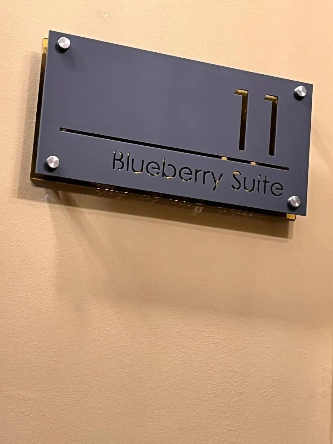 Suite Apartment in The Blueberry Hotel