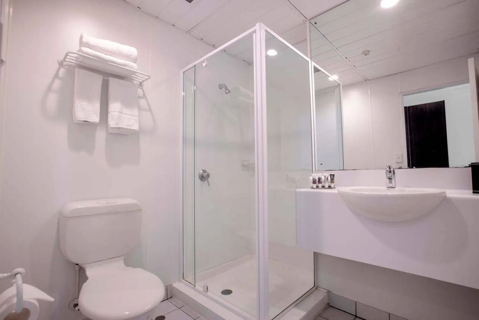 Toilet in Mercure Wellington Abel Tasman