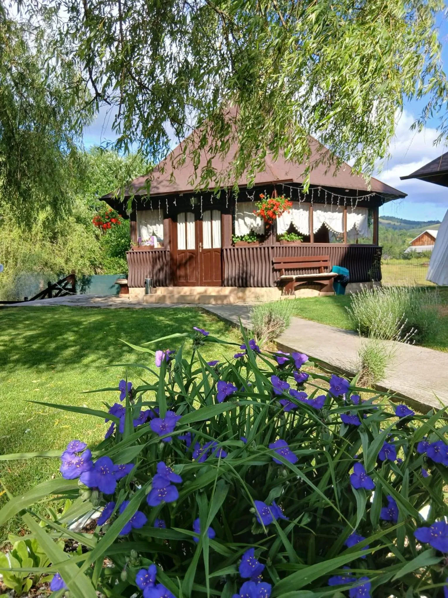 Pension Elegance