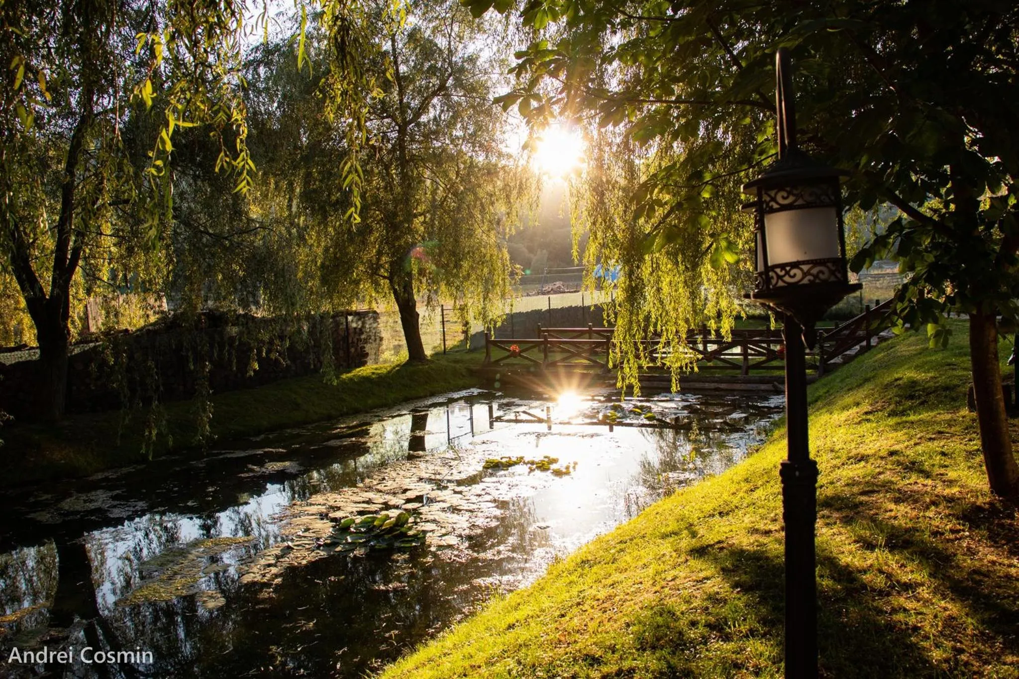 Lake view in Pension Elegance