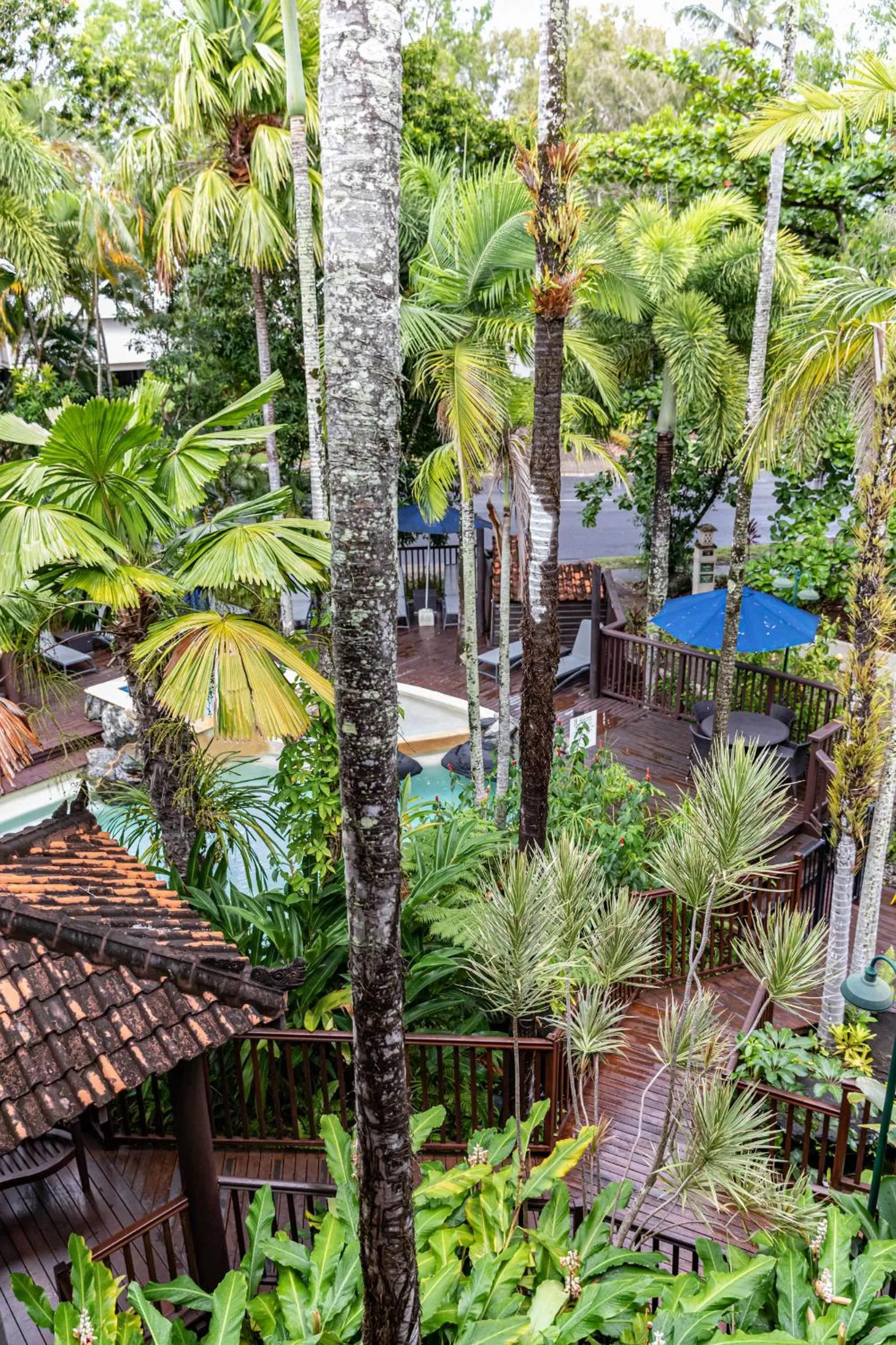 Garden in Hibiscus Resort & Spa - Official Onsite Reception & Check In