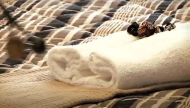 Other in Clayton Monash Motor Inn & Serviced Apartments