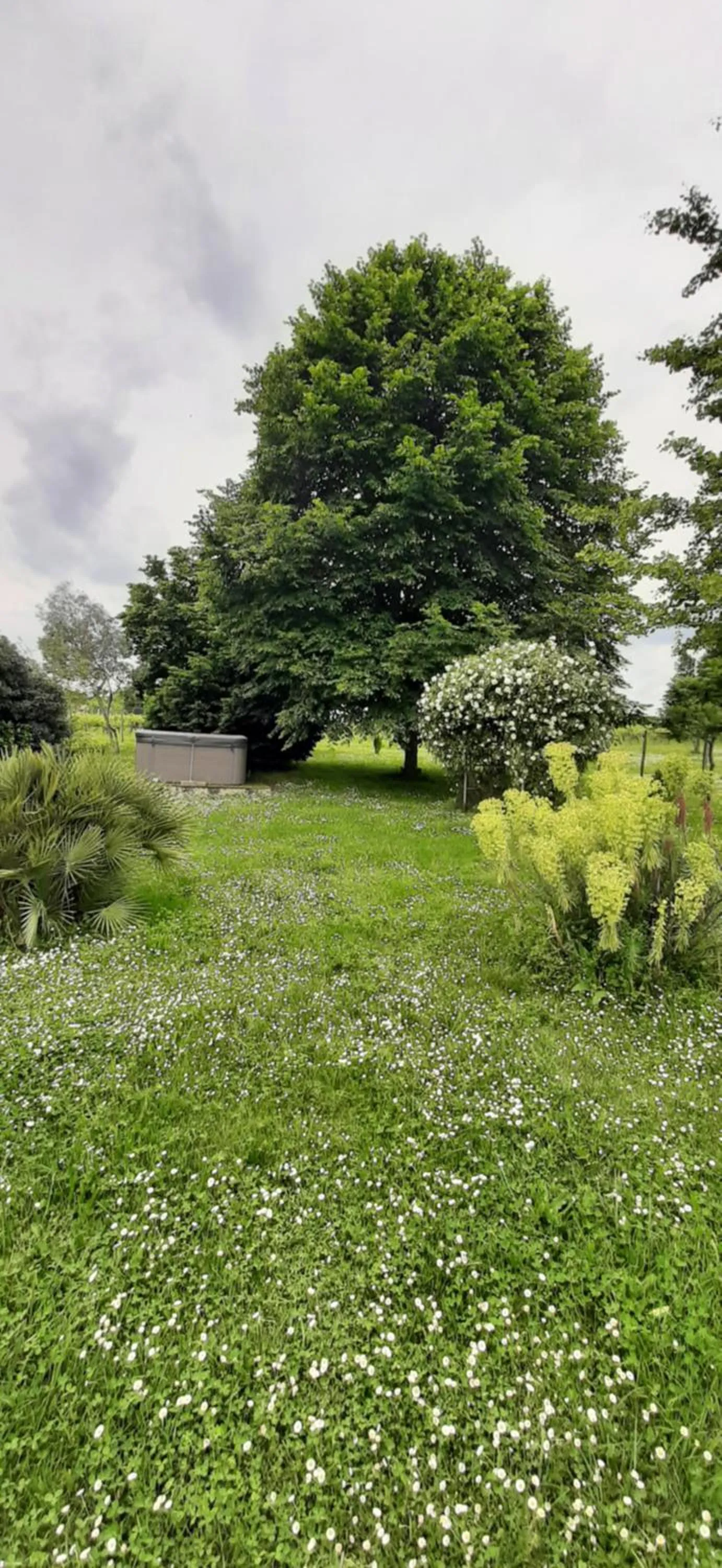 Garden in La Mirabelle