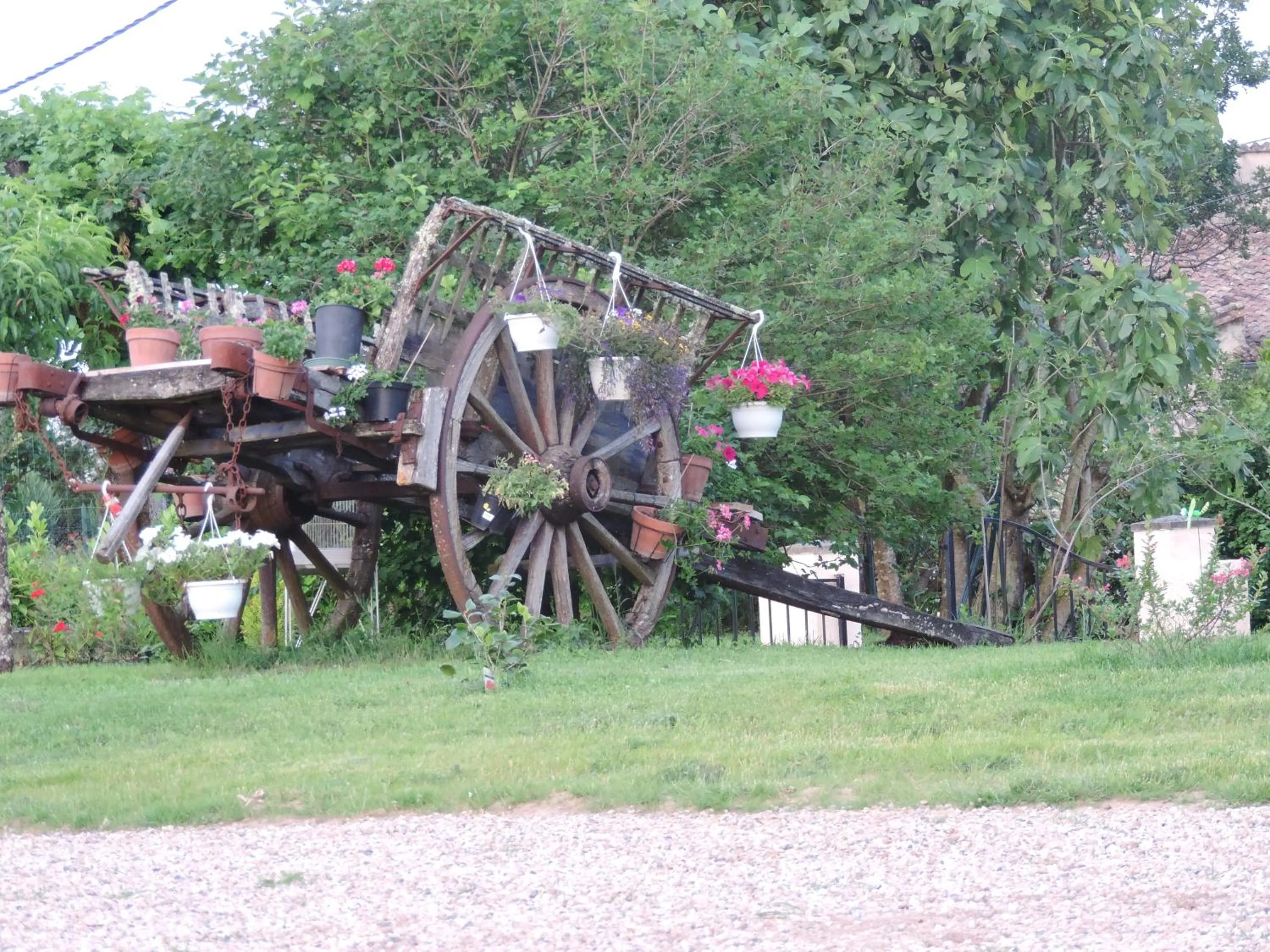 Garden in La Mirabelle