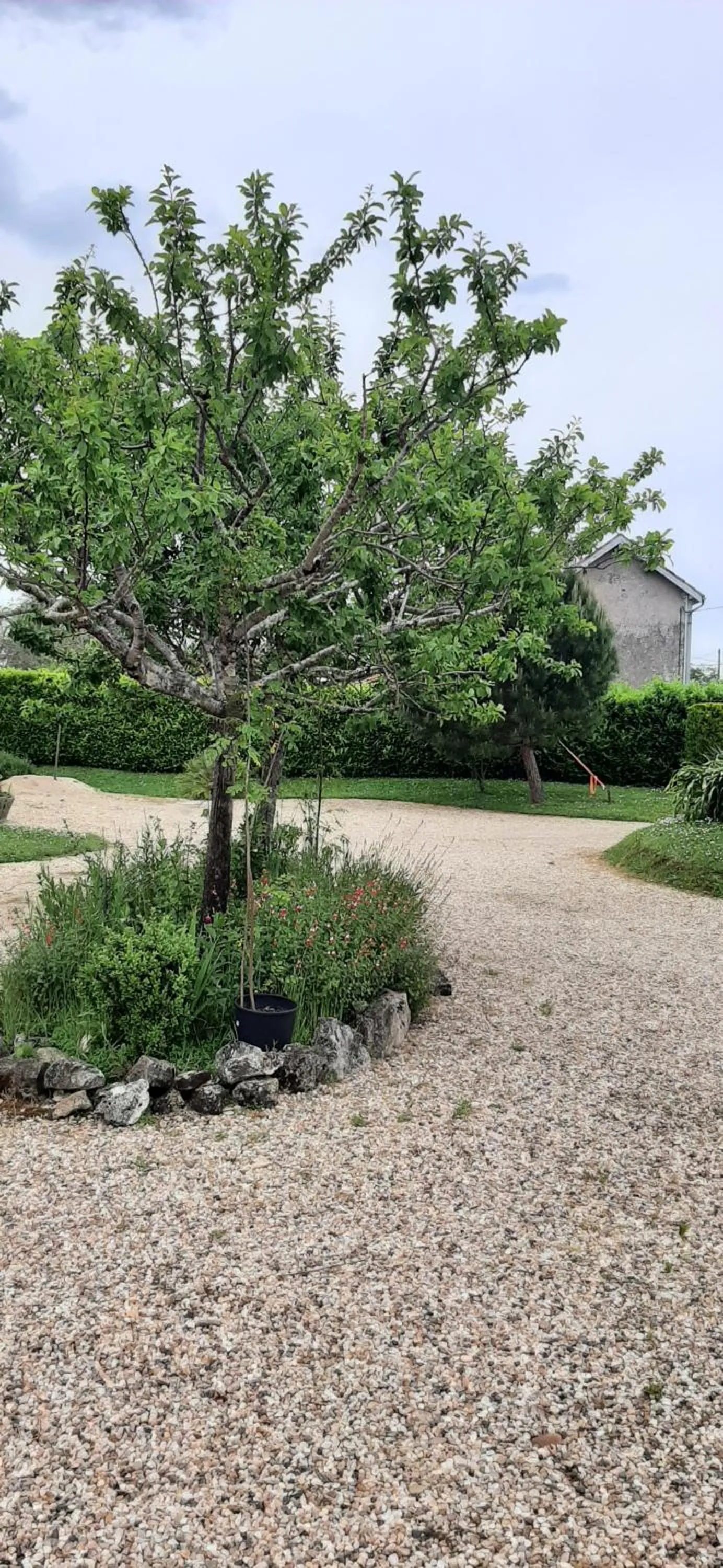Garden in La Mirabelle