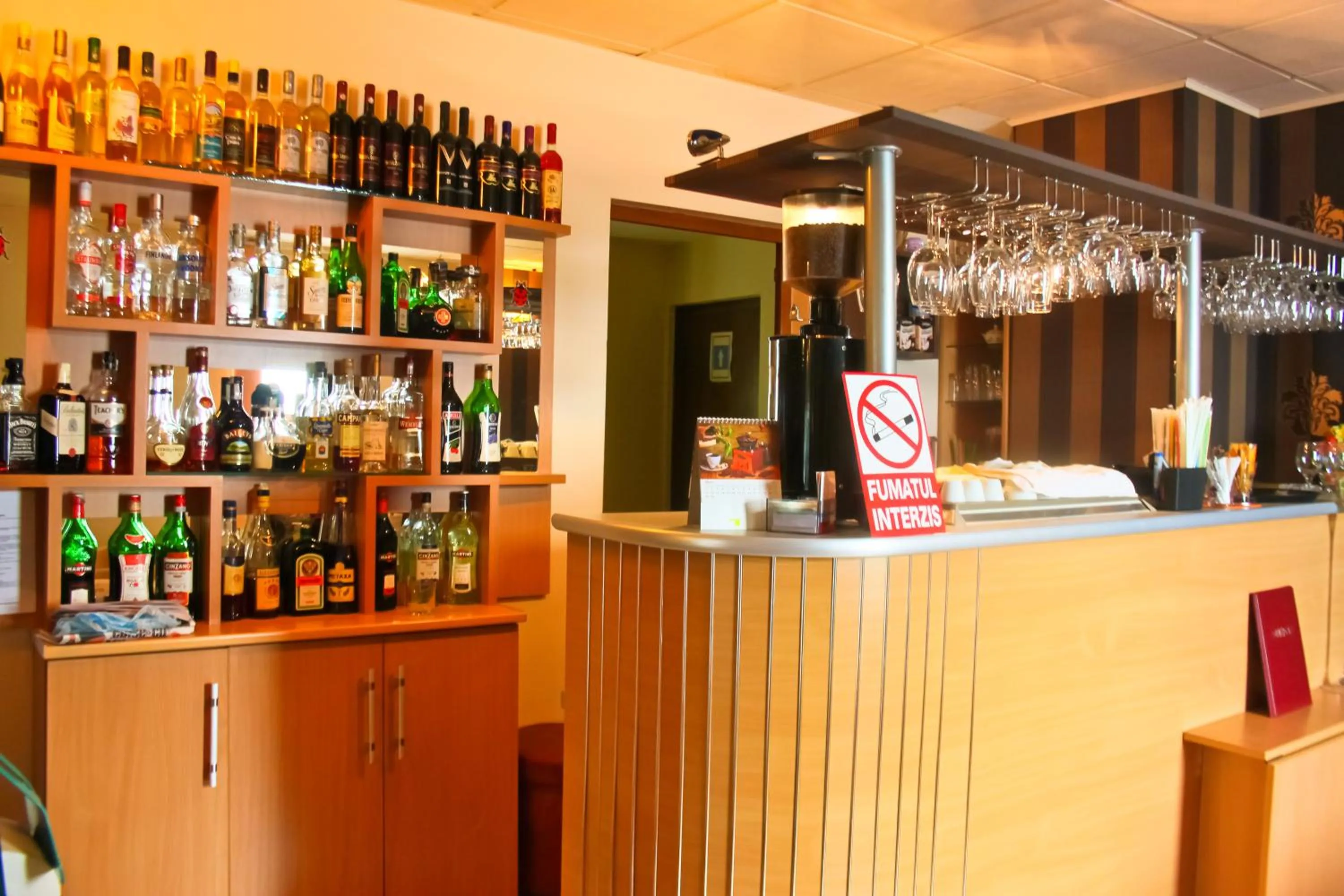 Lounge or bar in Hotel Alexandra