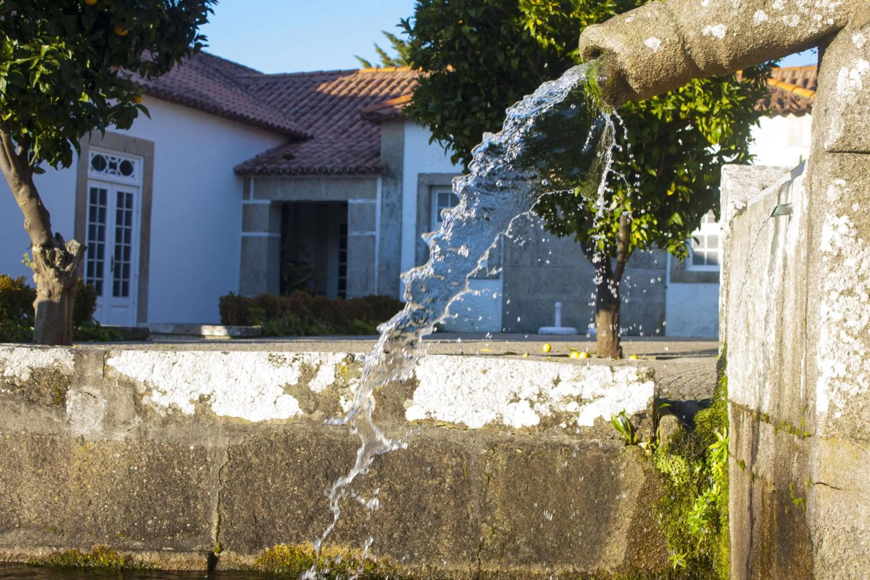 Decorative detail in Boega Hotel