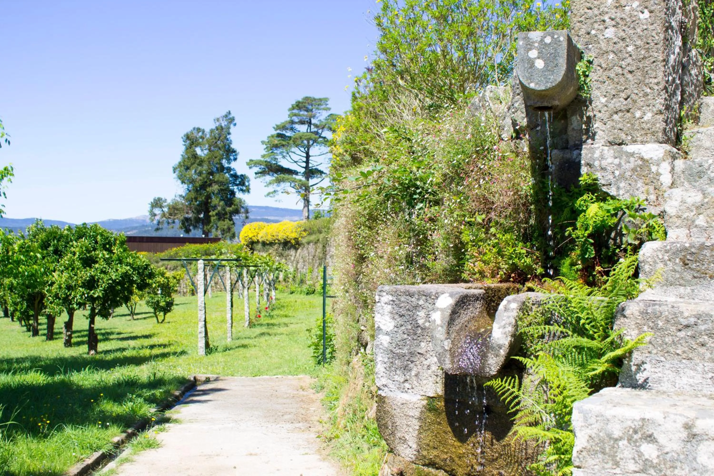 Garden in Boega Hotel