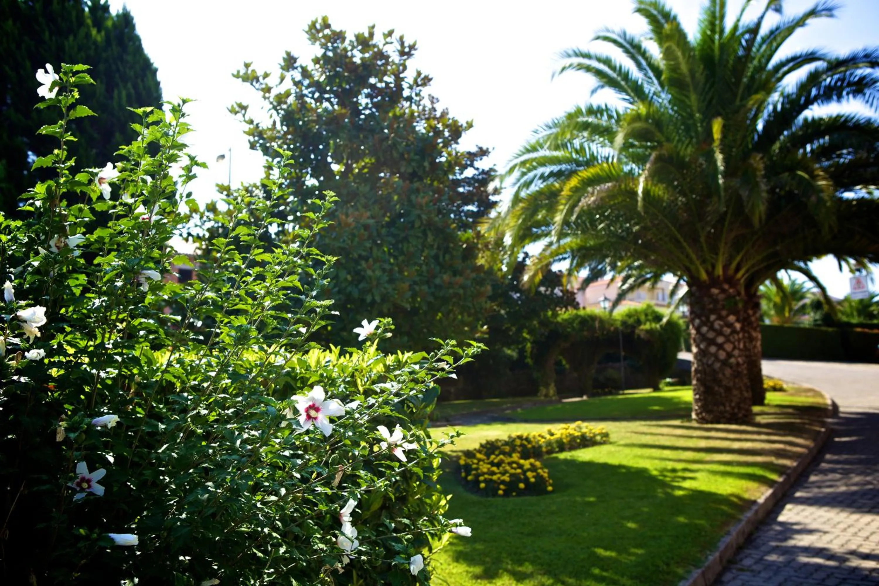 Garden in Hotel SJ
