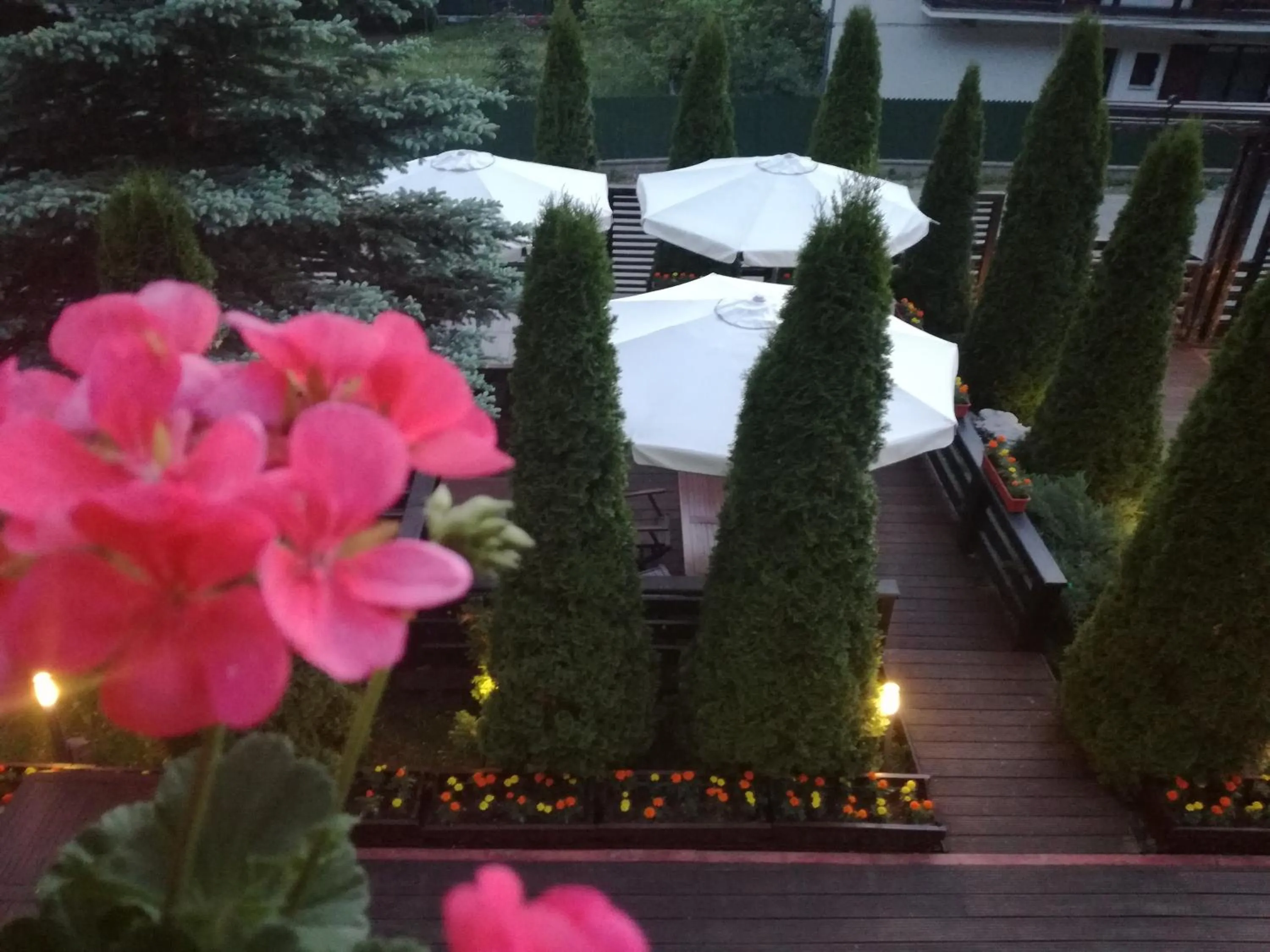 Restaurant/places to eat in Casa Freya