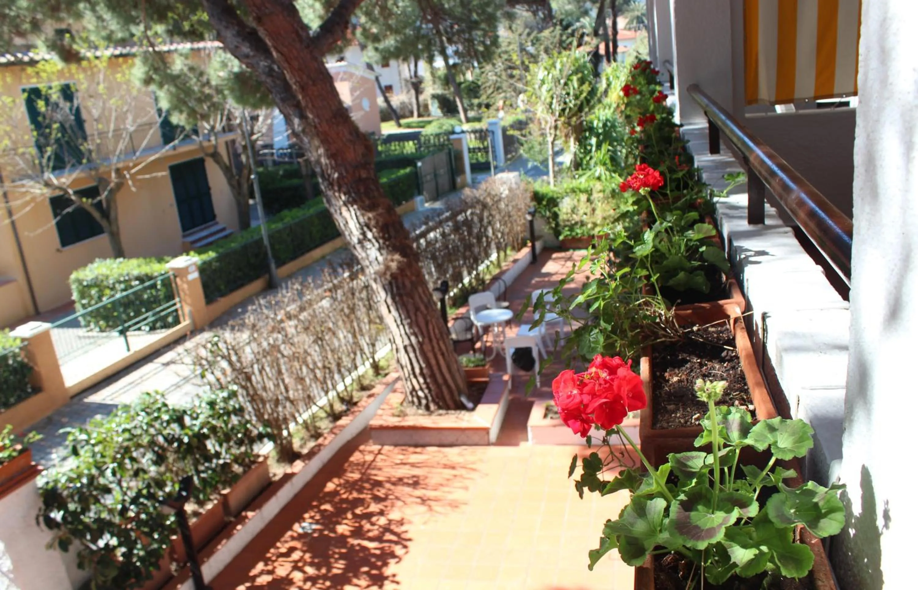 Property building in Hotel Punto Verde