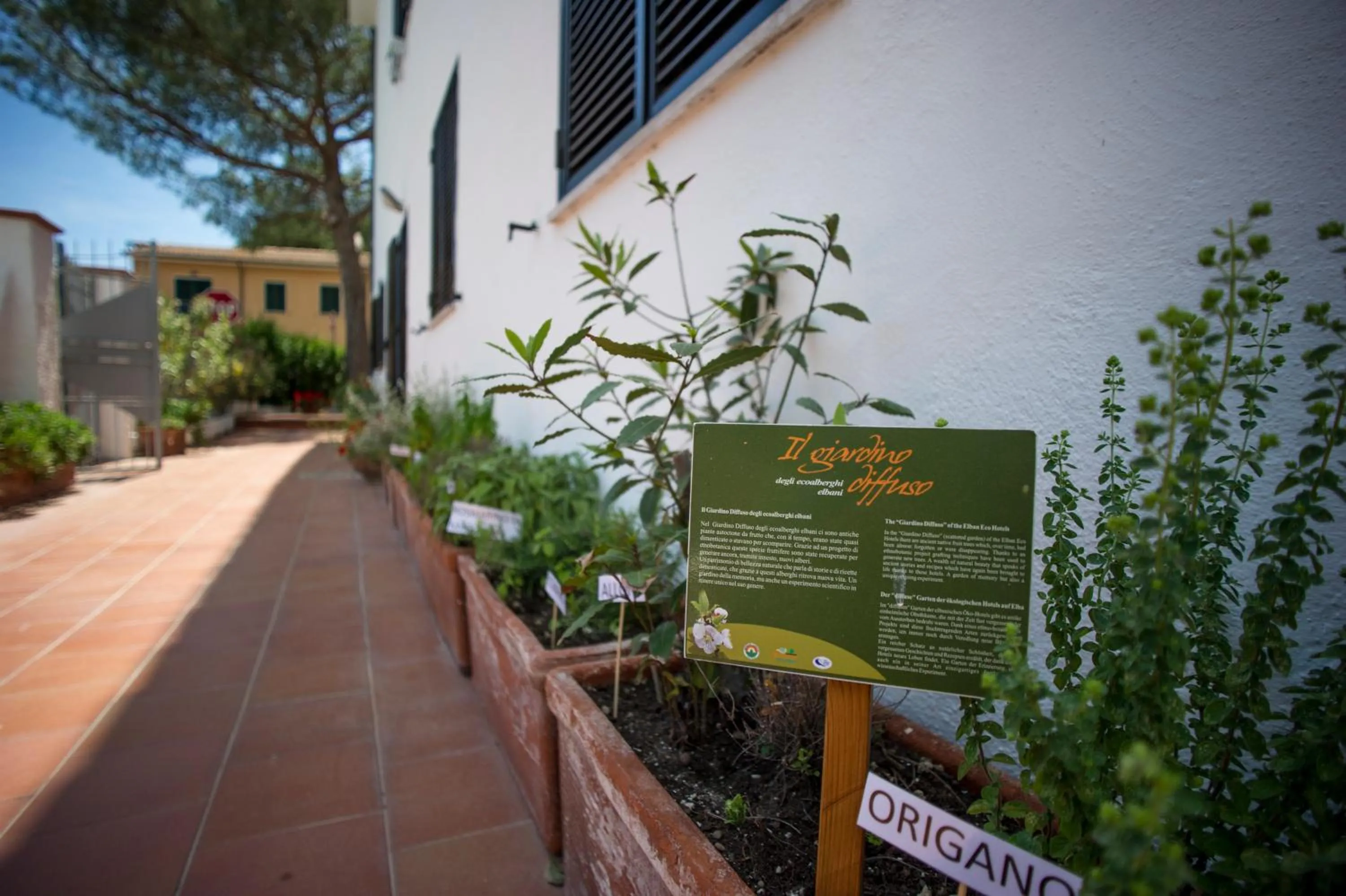 Property building in Hotel Punto Verde