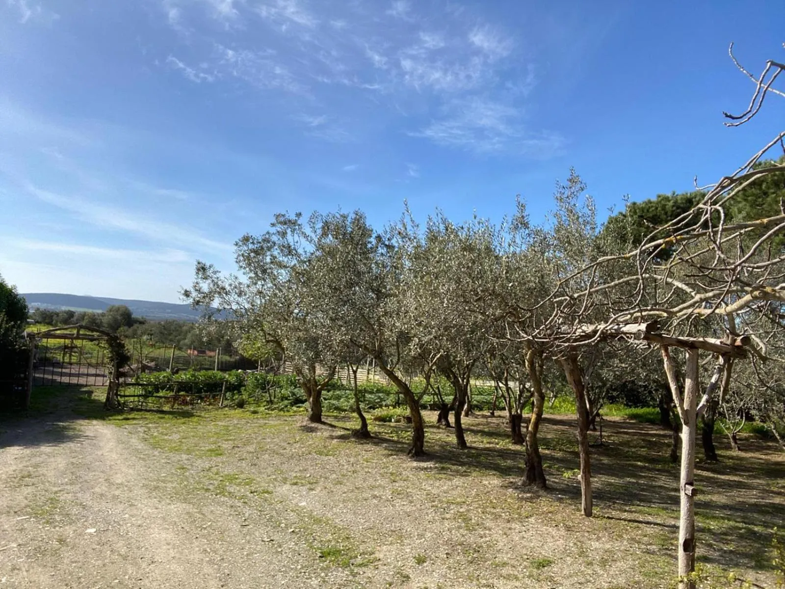 Spring in B&B Il Girasole