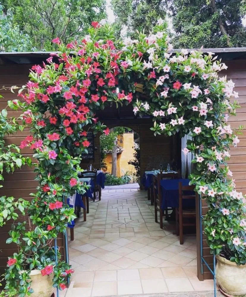 Day in B&B Il Girasole