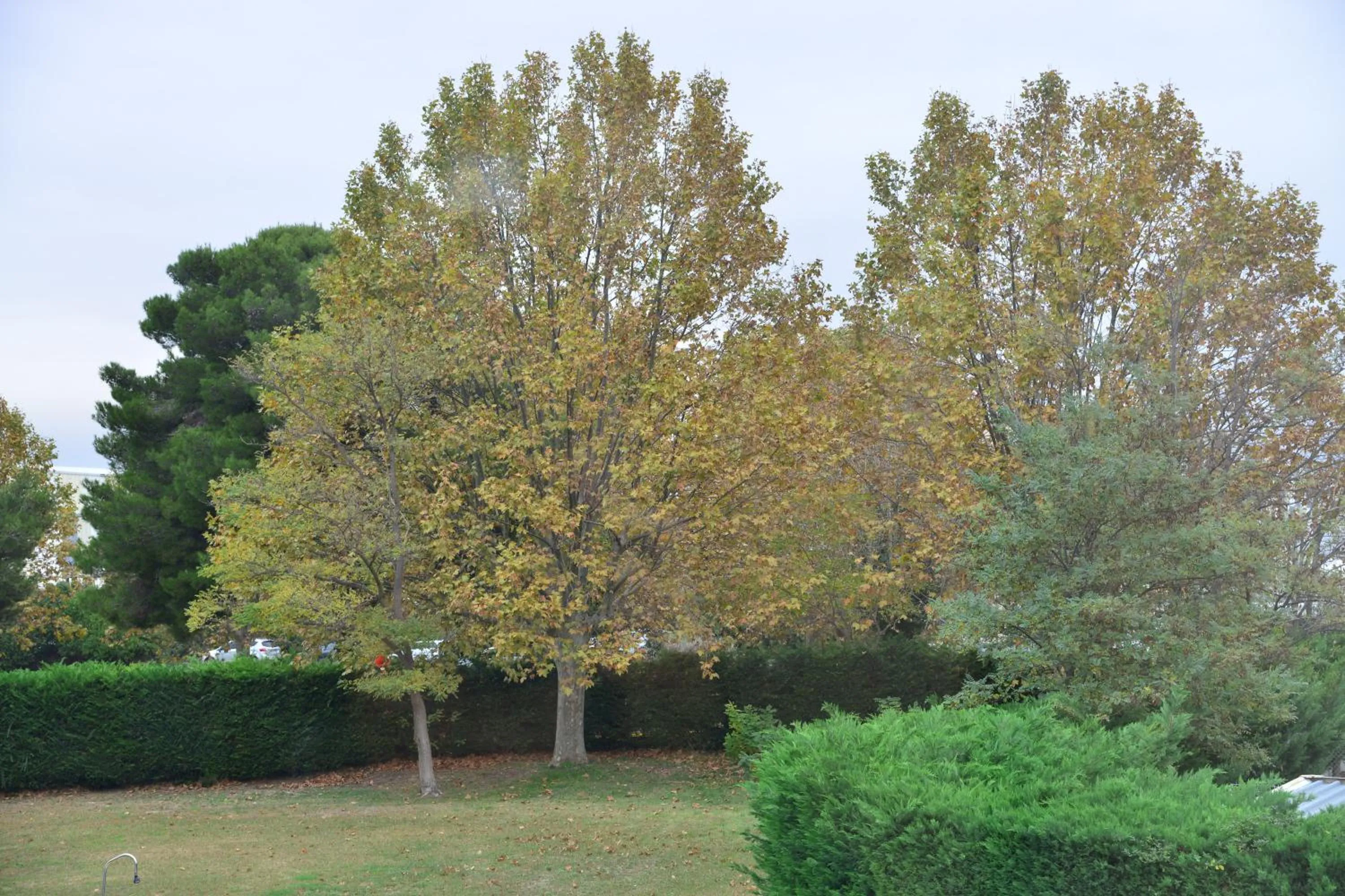 Facade/entrance in Aeroport Hotel - Parc Expo