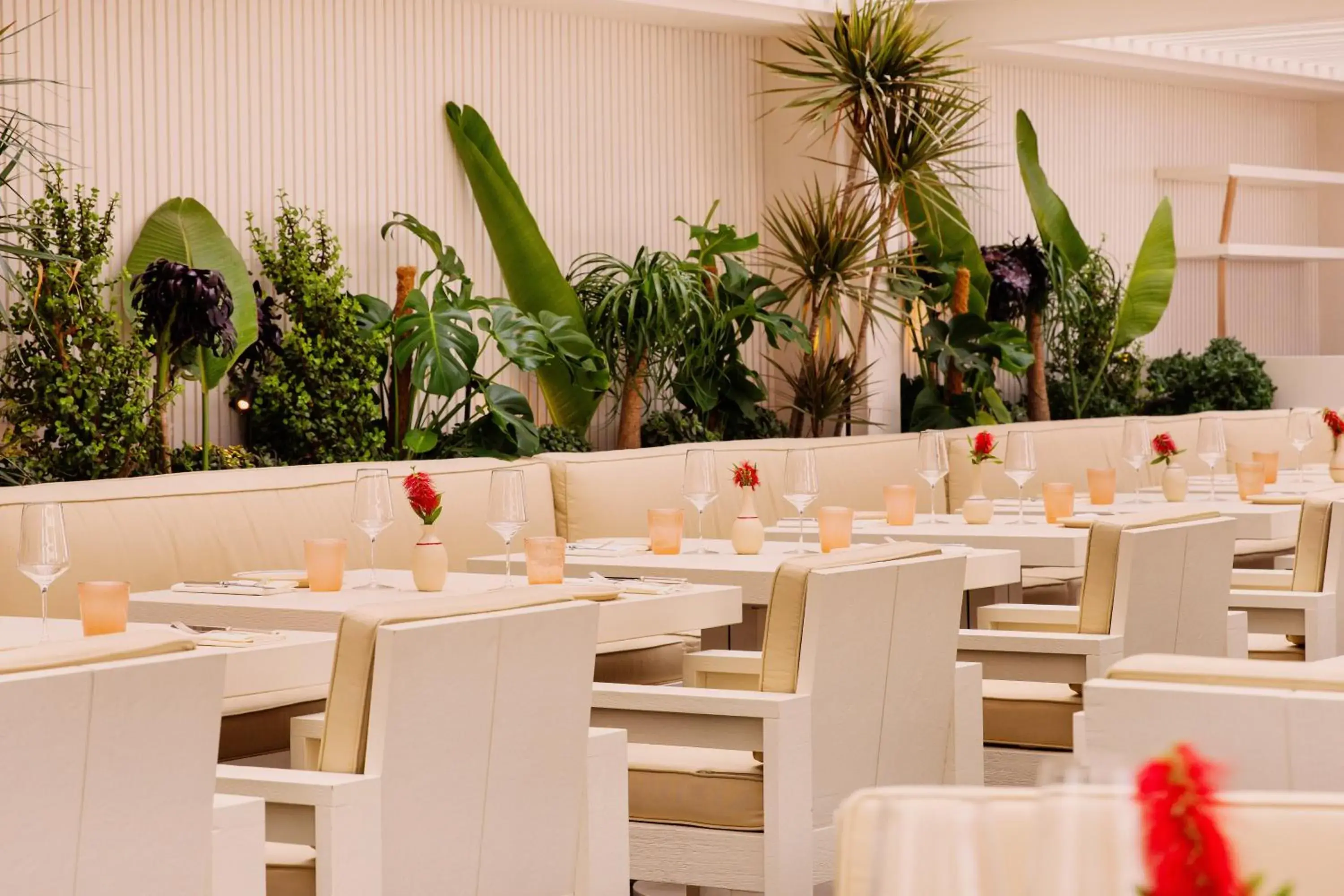 Restaurant/places to eat in Cap d'Antibes Beach Hotel Restaurant/places to eat in Cap d'Antibes Beach Hotel