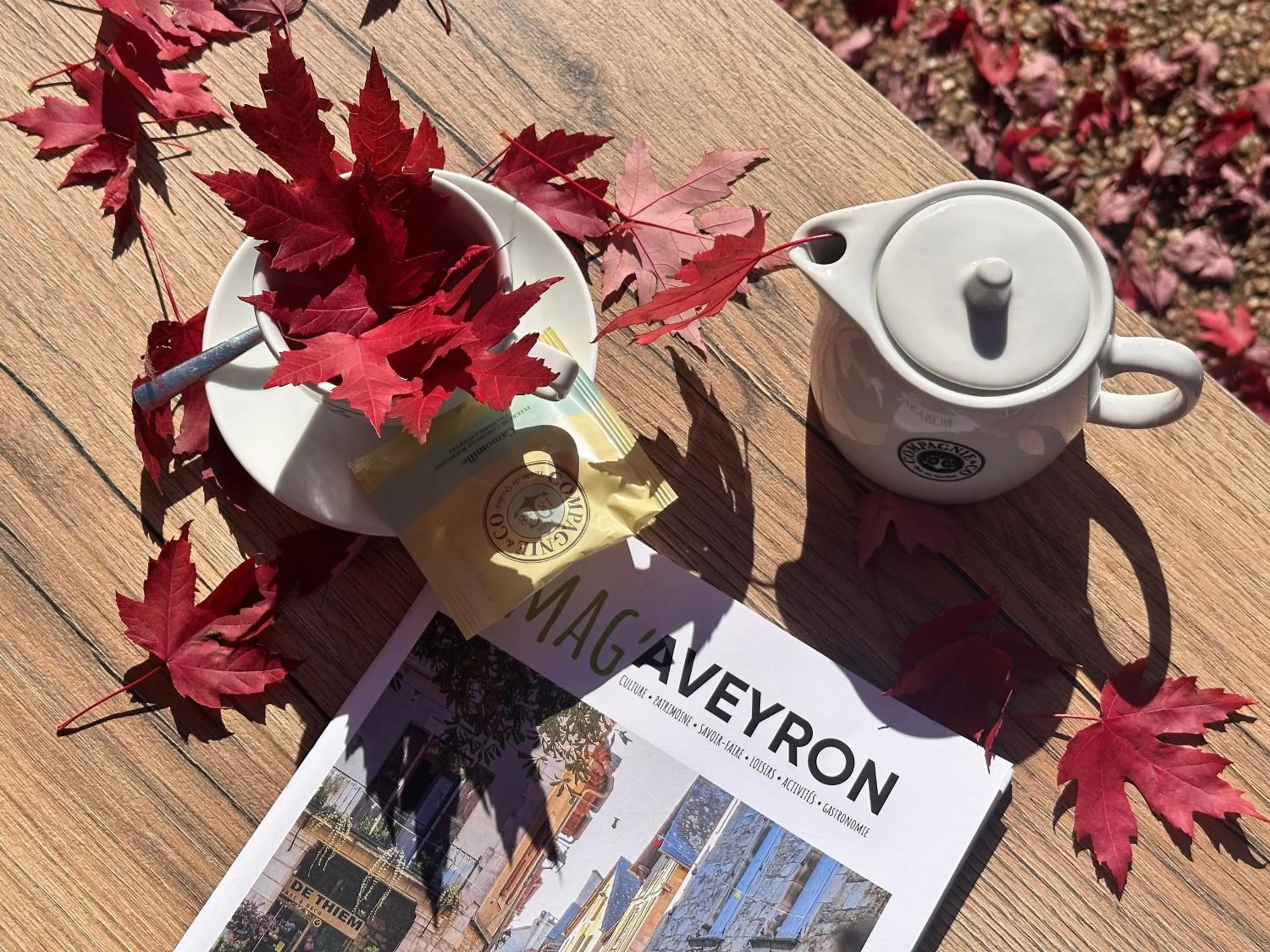 Property building in Domaine Saint Estève