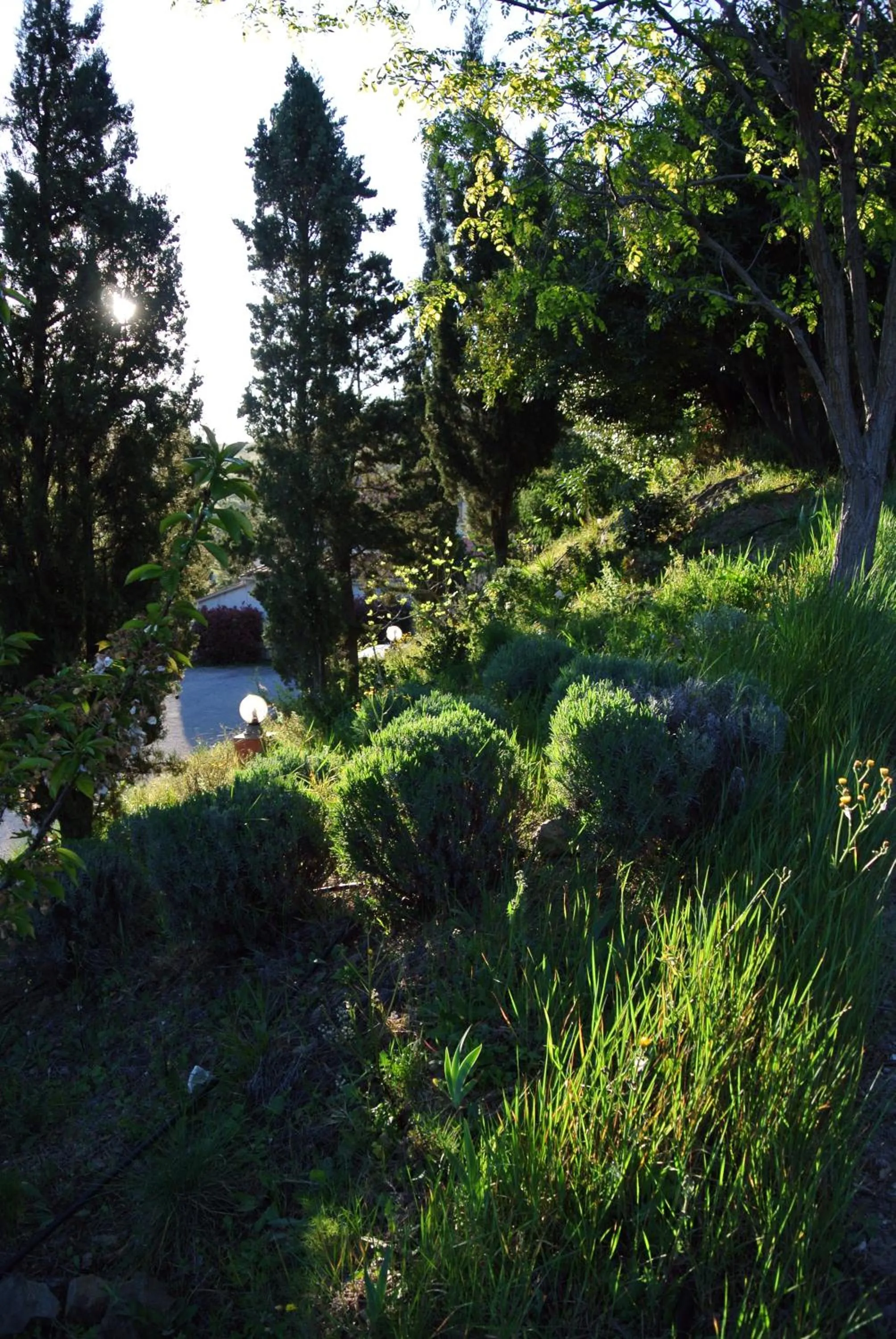 Garden in Le Relais Des Chartreuses