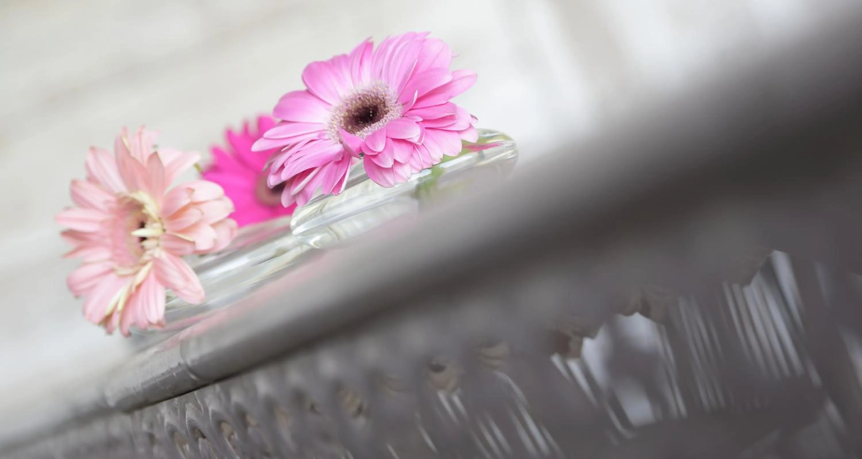 Patio in Les Glycines - Hôtel & Spa - Teritoria
