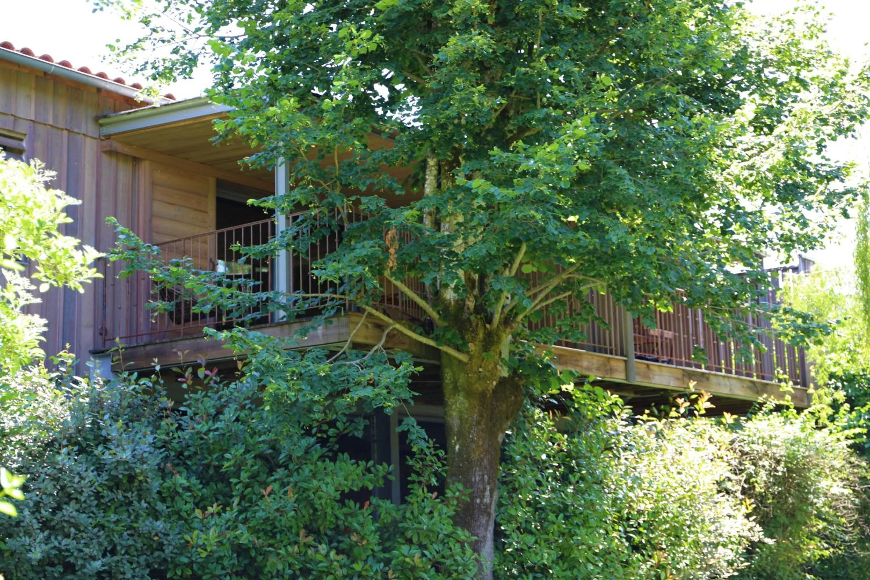 Garden in Les Glycines - Hôtel & Spa - Teritoria