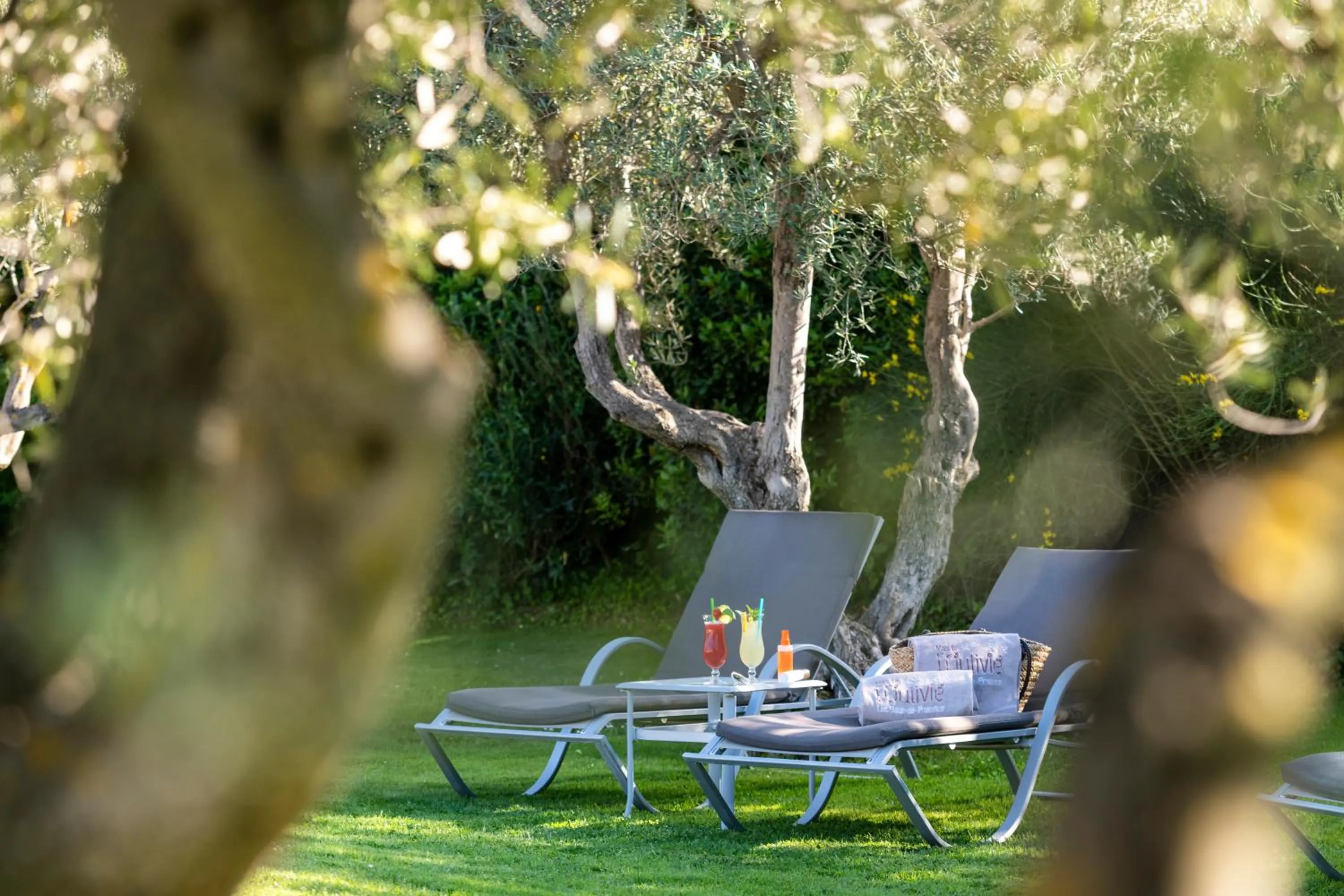 Swimming pool in Mas de l'Oulivié