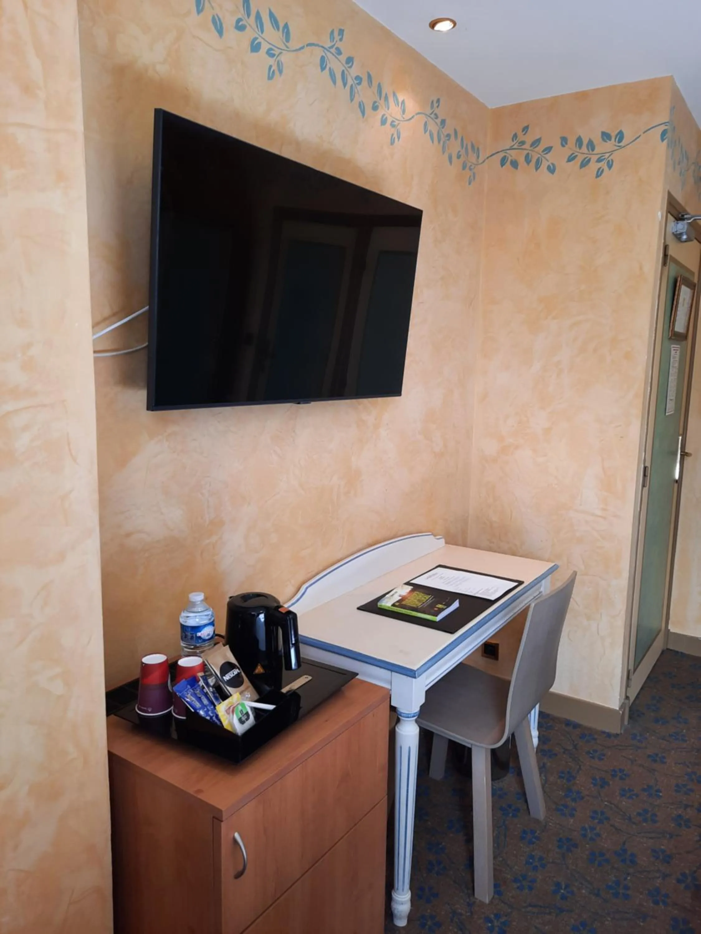 TV and multimedia in Logis Hôtel restaurant LE MEDICIS