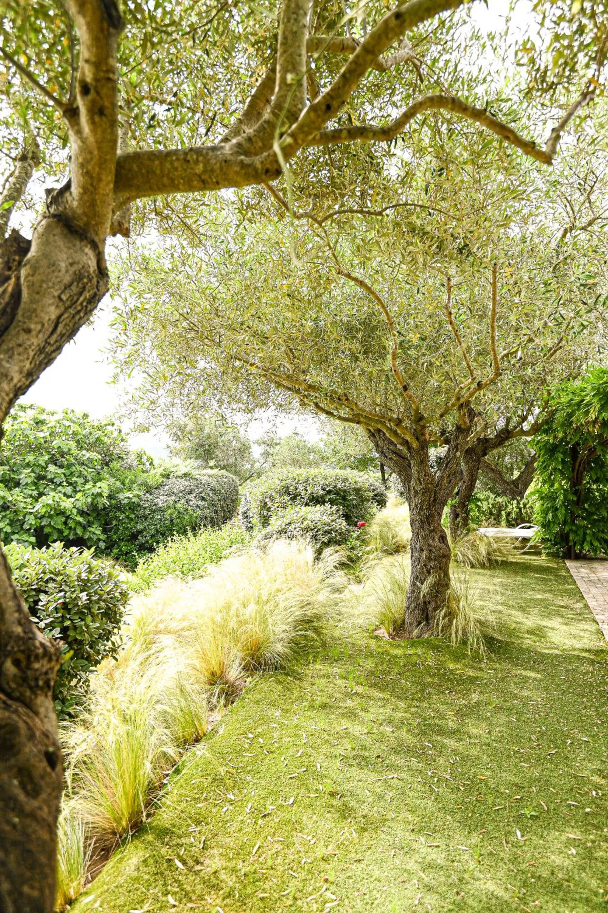 Auberge de l'Oumède