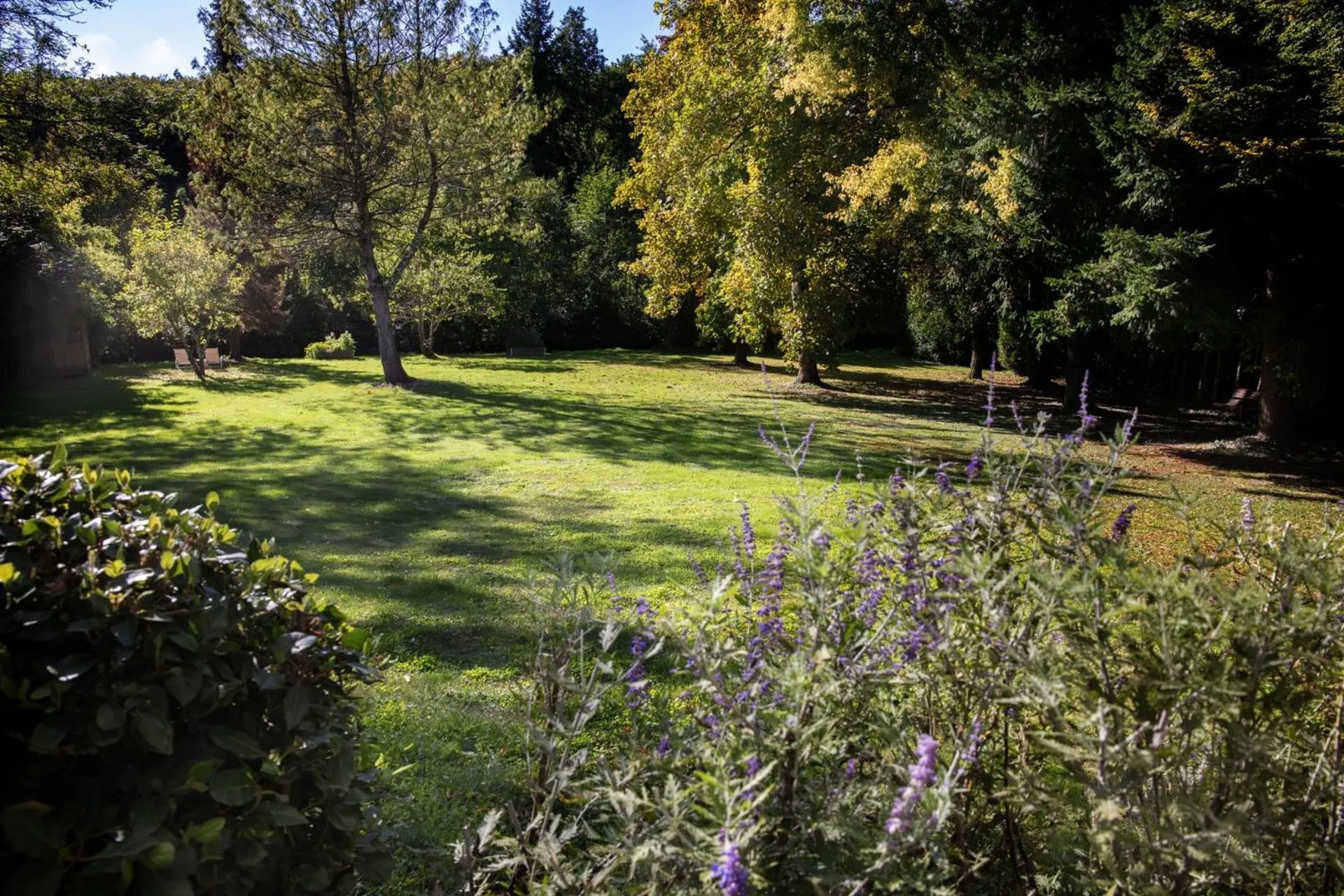 Garden in L'Aubinière Hôtel Restaurant & Spa