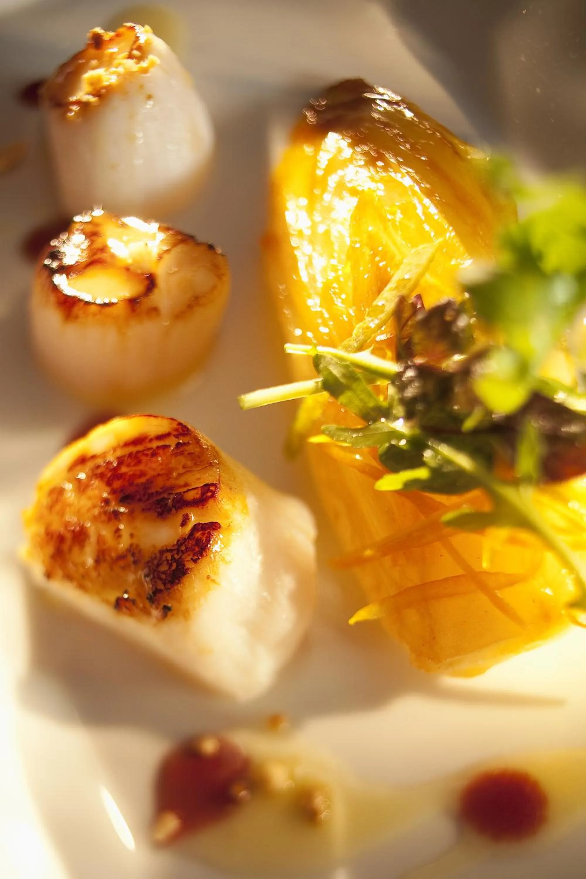 Lunch in L'Aubinière Hôtel Restaurant & Spa