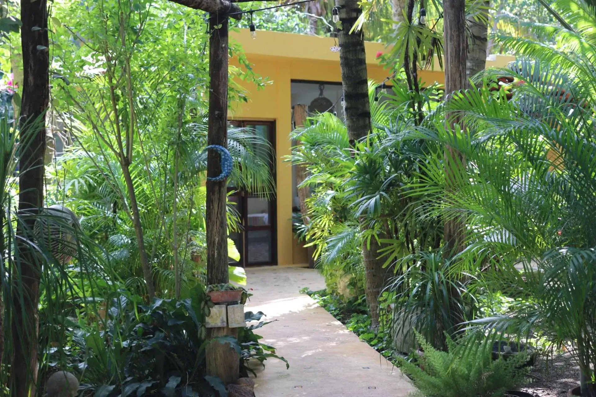 Standard Bungalow with Fan - single occupancy in Casa Kin33 Standard Bungalow with Fan - single occupancy in Casa Kin33