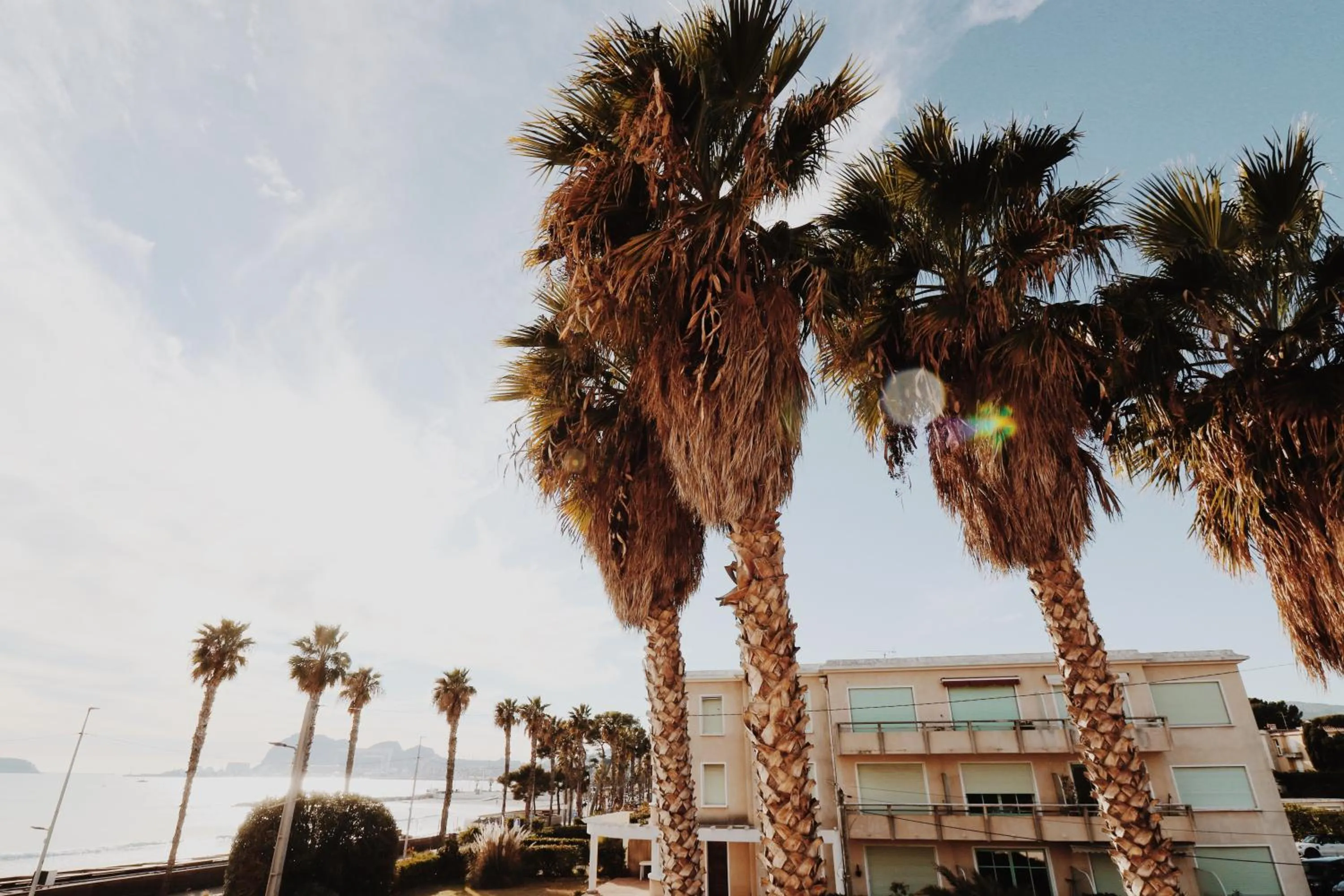 View (from property/room) in Le Rose Thé