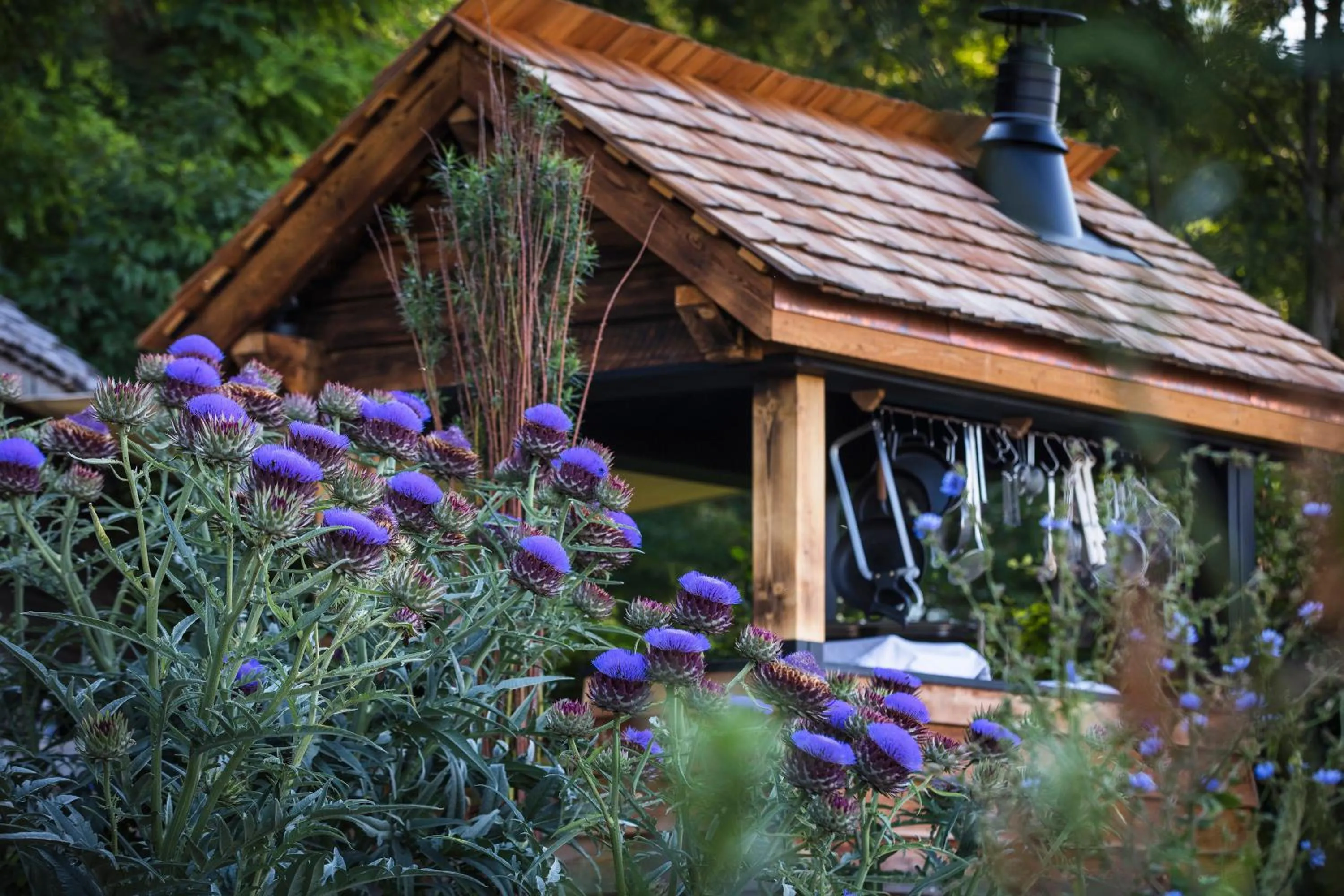 Garden in Le Clos Des Sens