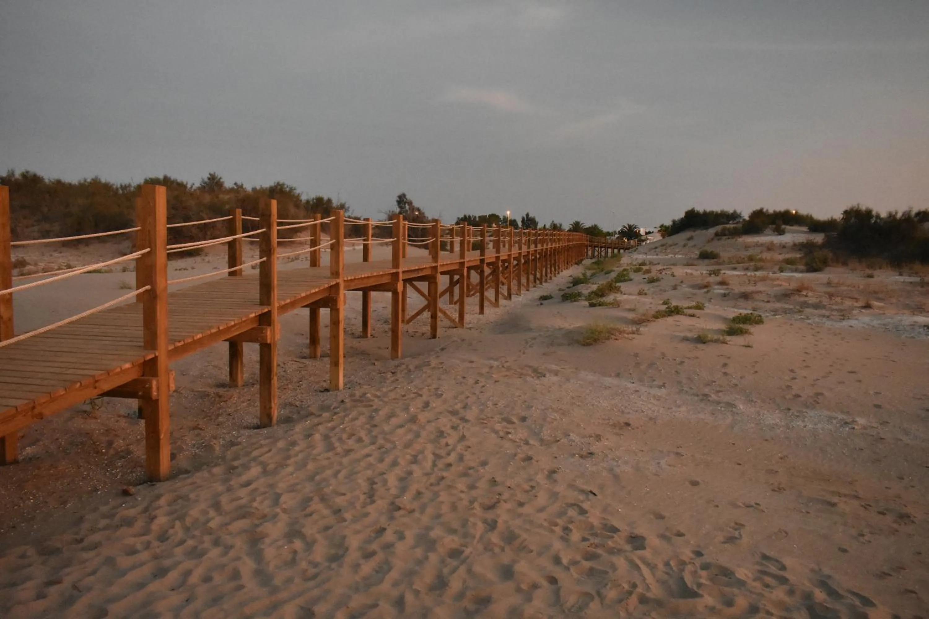 Natural landscape in Alberg Deltebre Xanascat