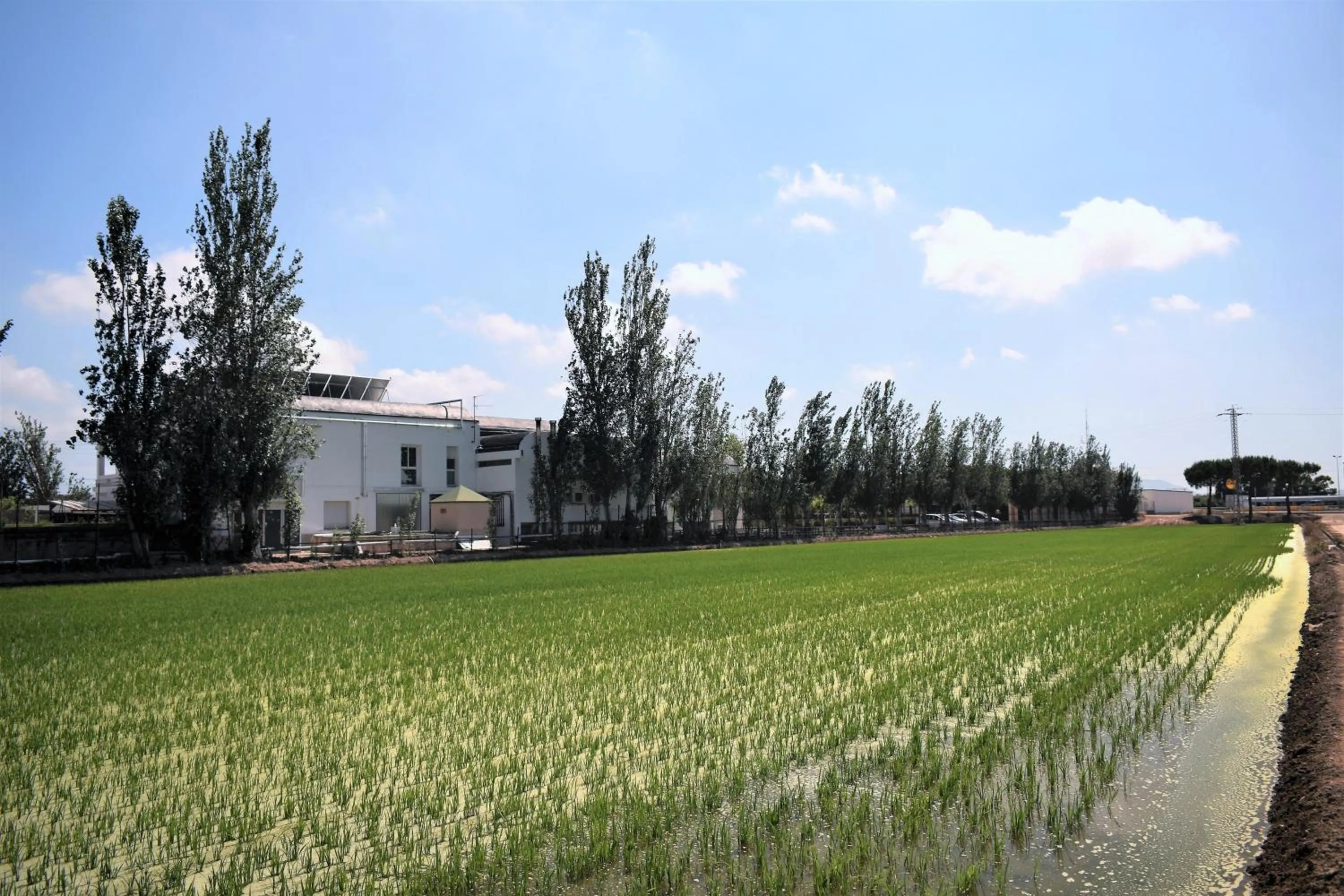 Natural landscape in Alberg Deltebre Xanascat