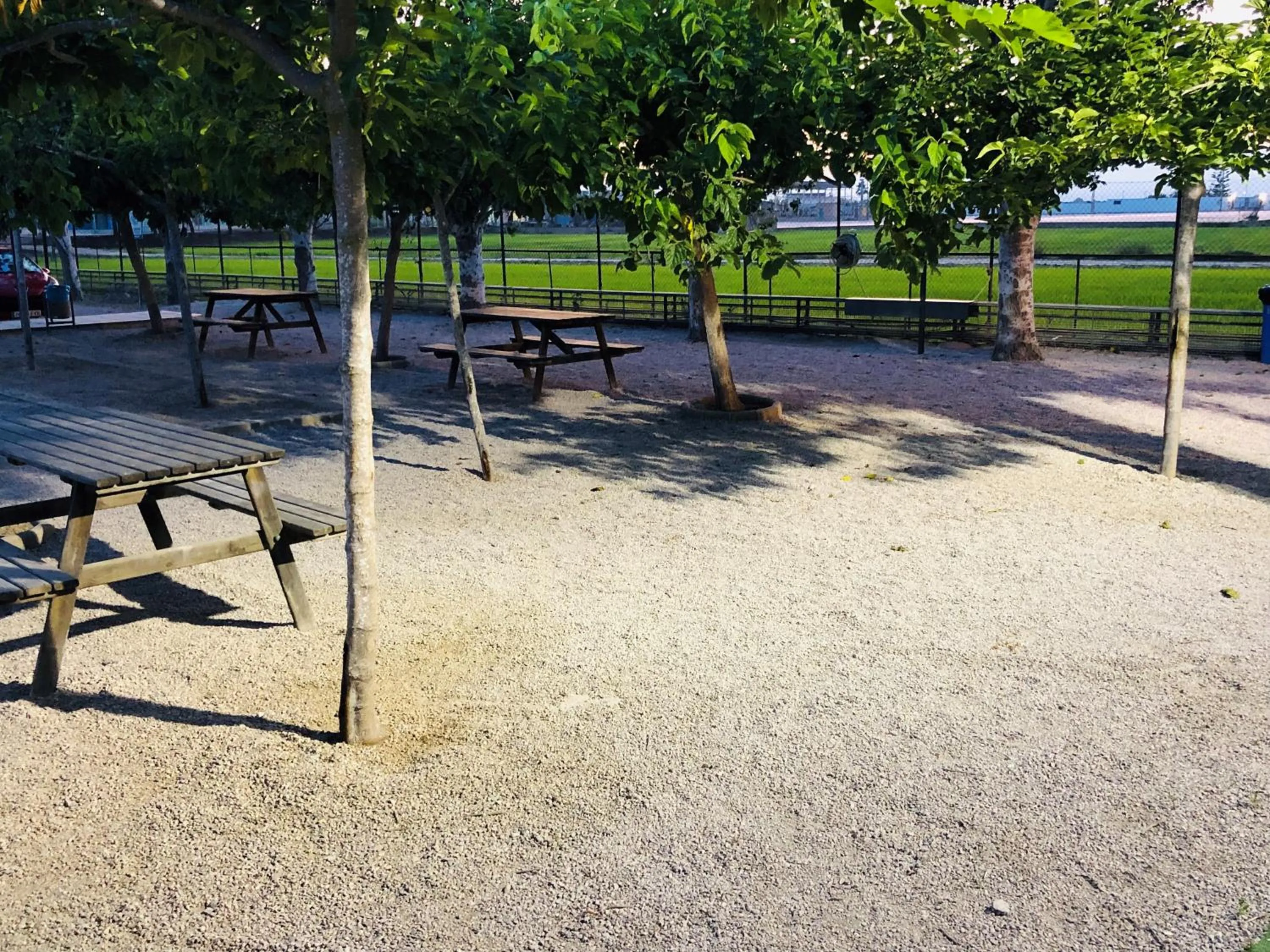 Garden in Alberg Deltebre Xanascat