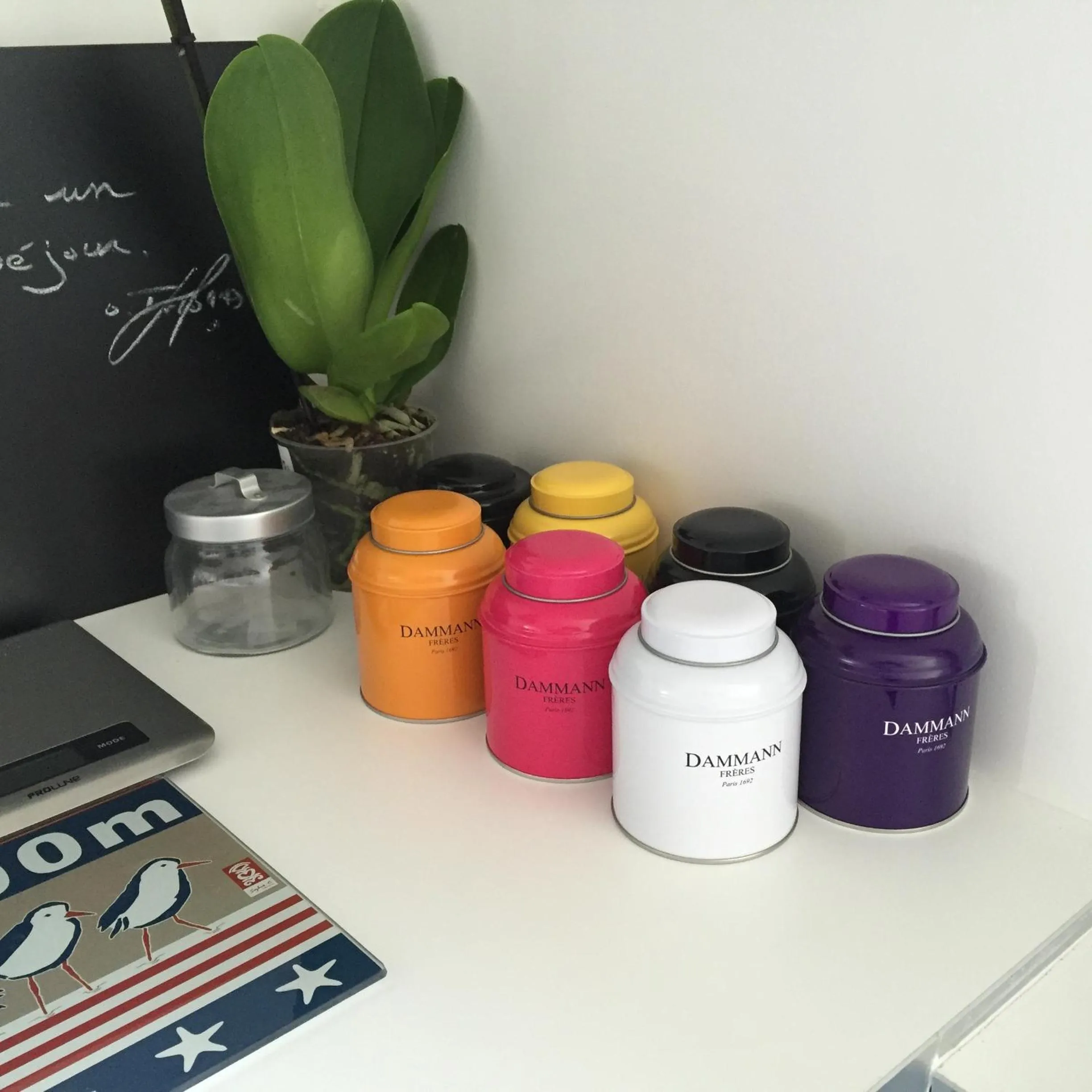 Kitchen or kitchenette in Appartement Design II - Port du Rosmeur -Douarnenez