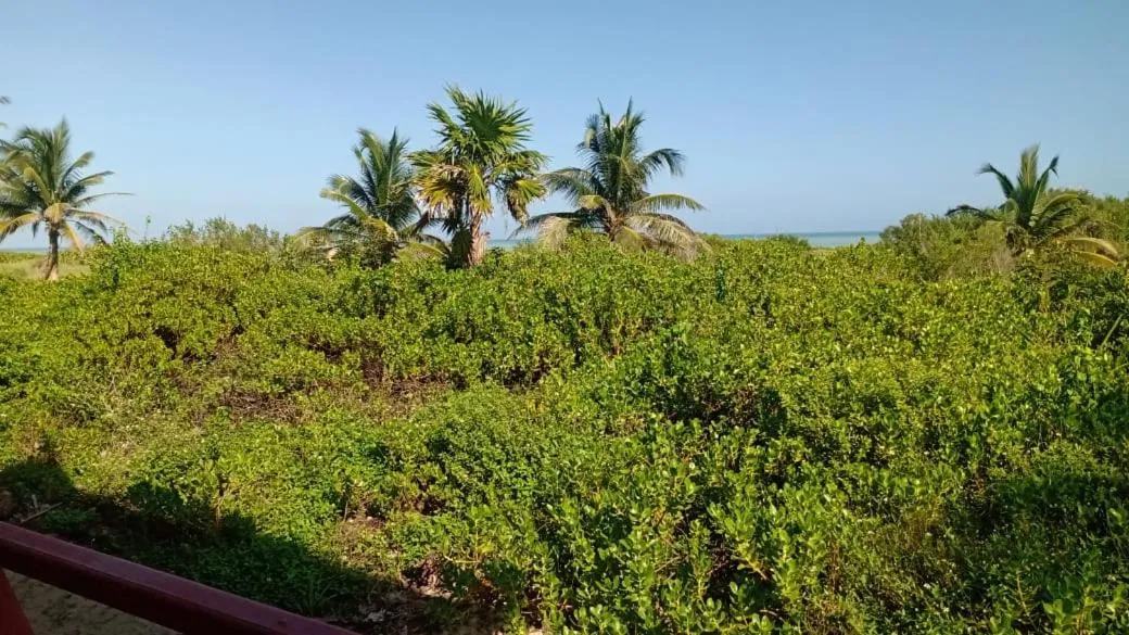 Natural landscape in Cabañas El Cuyo