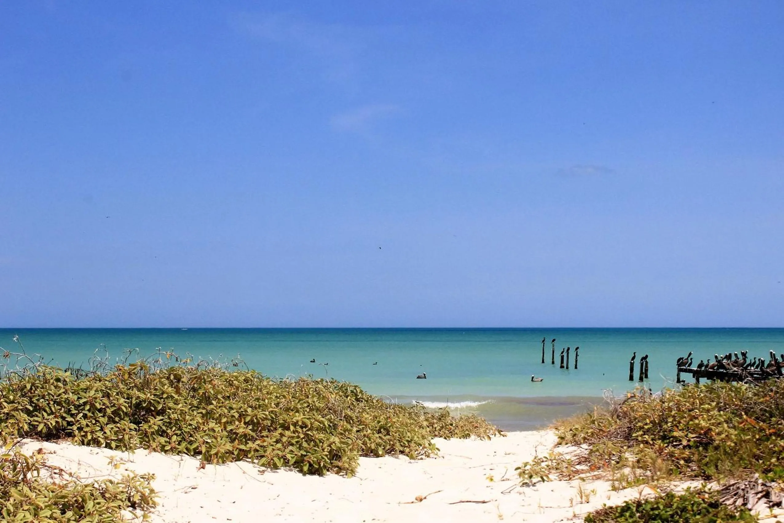 Sea view in Cabañas El Cuyo